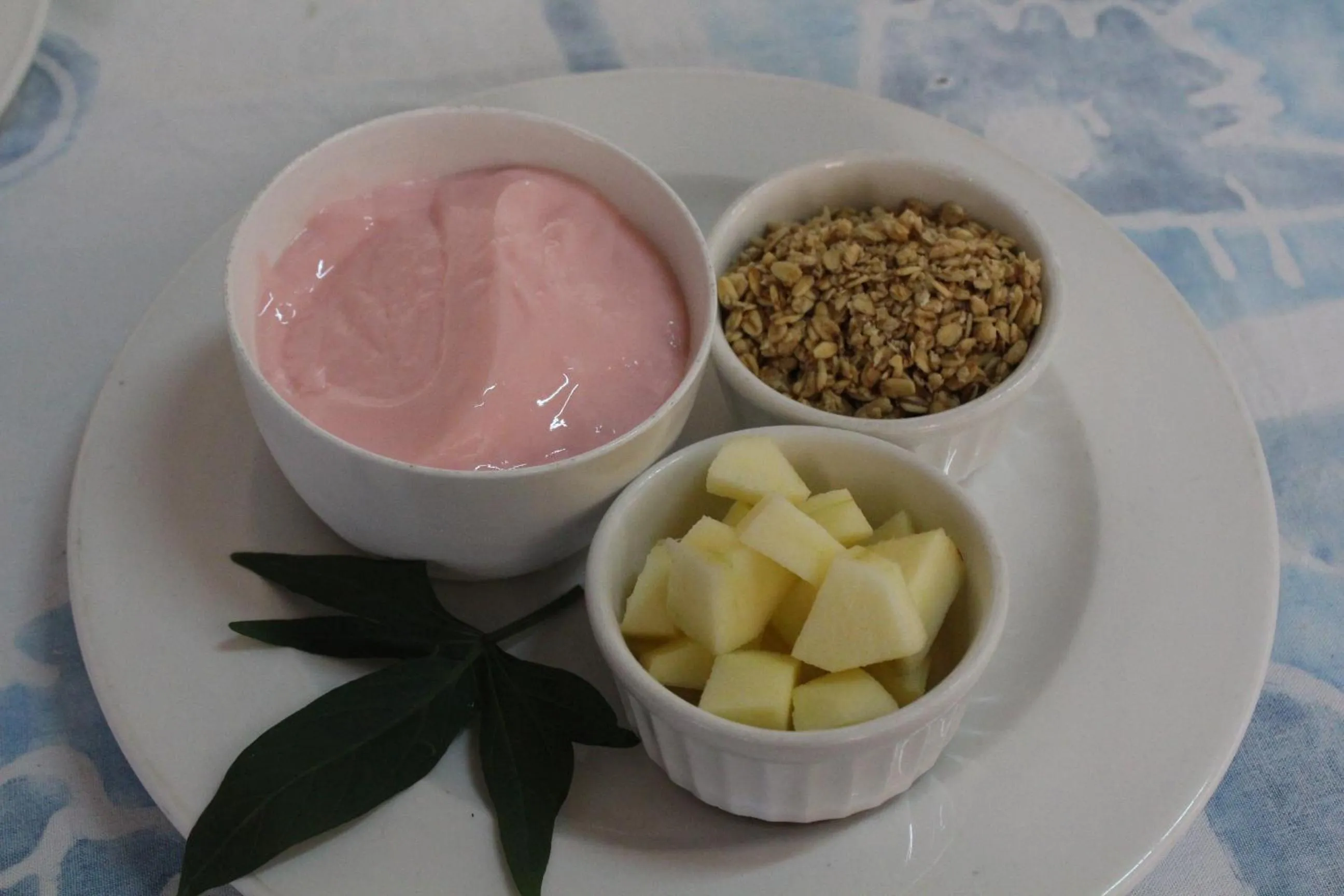 Breakfast in DEVOCEAN Lodge