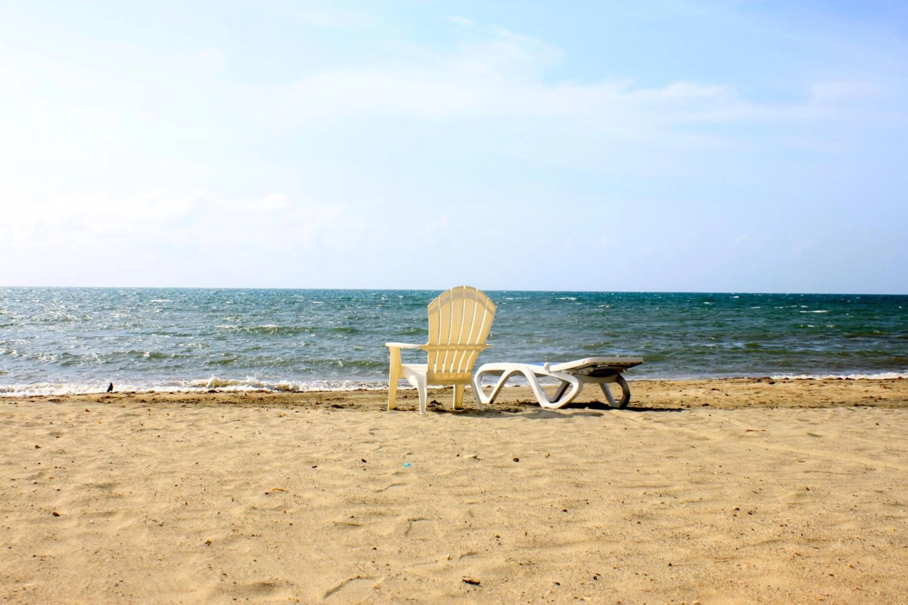 Beach in Paraiso Rainforest and Beach Hotel