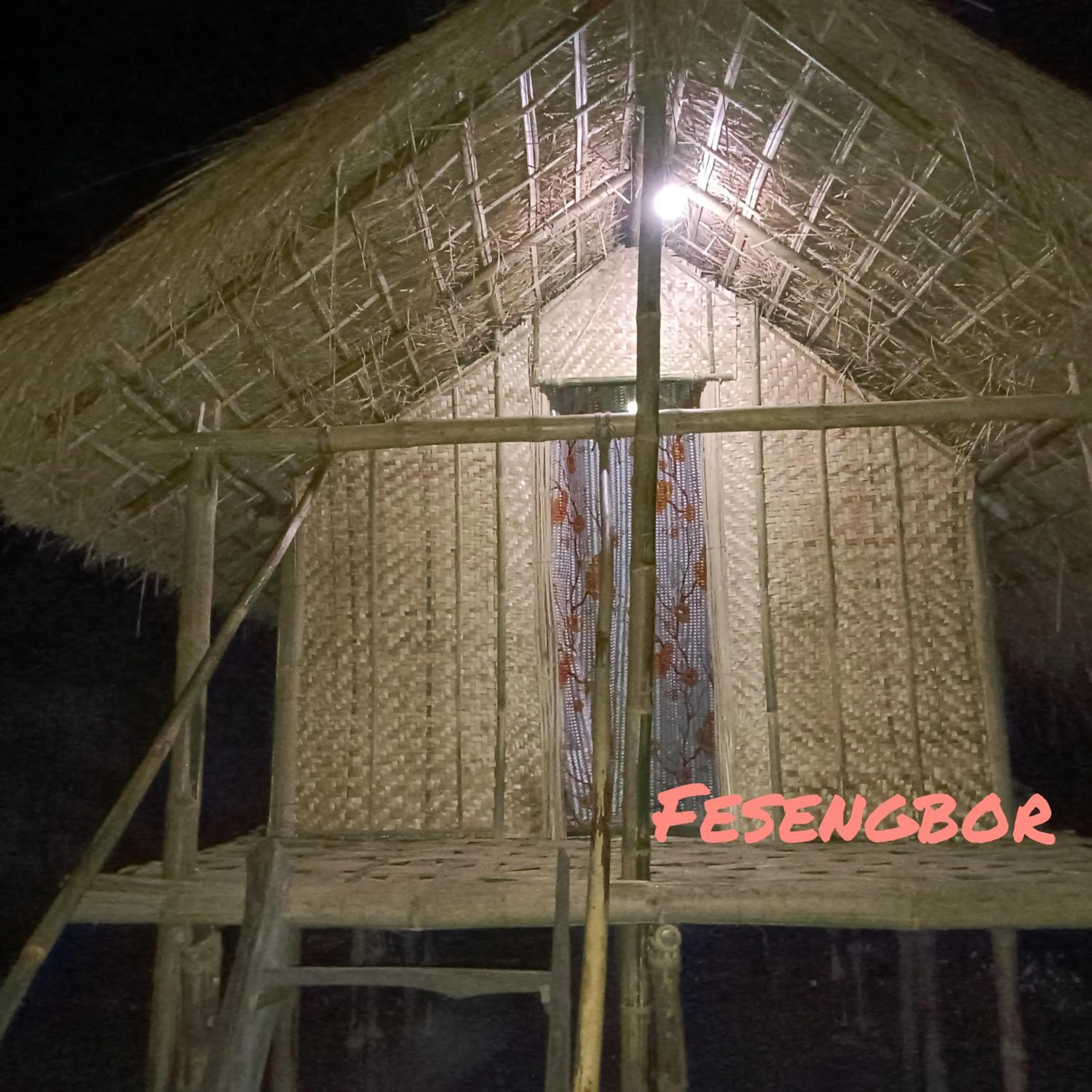 Fesengbor eco camp