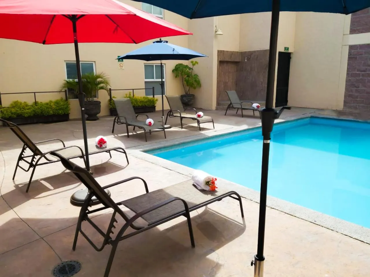 Swimming pool in BeWow Hotel Querétaro
