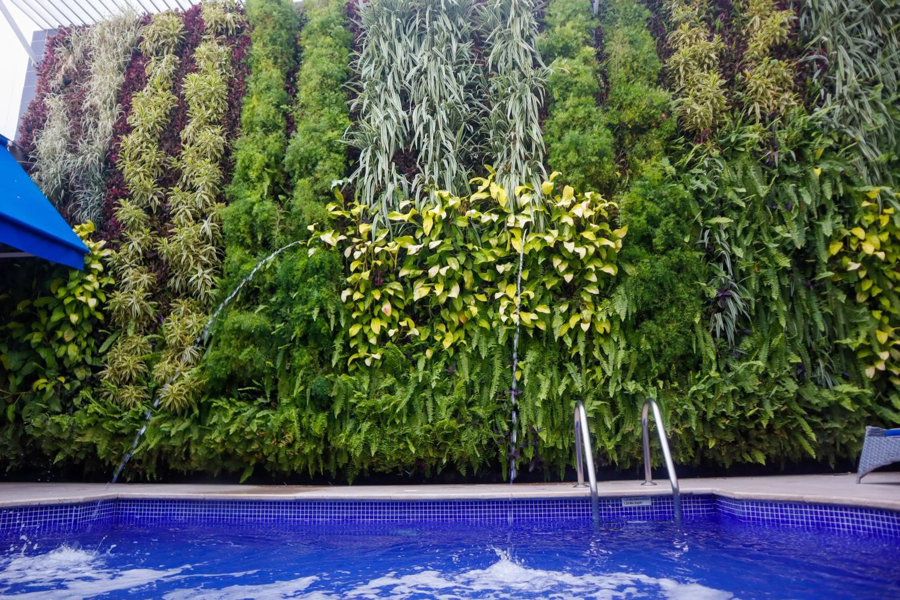 Swimming pool in Varanasi Hotel Boutique Aeropuerto