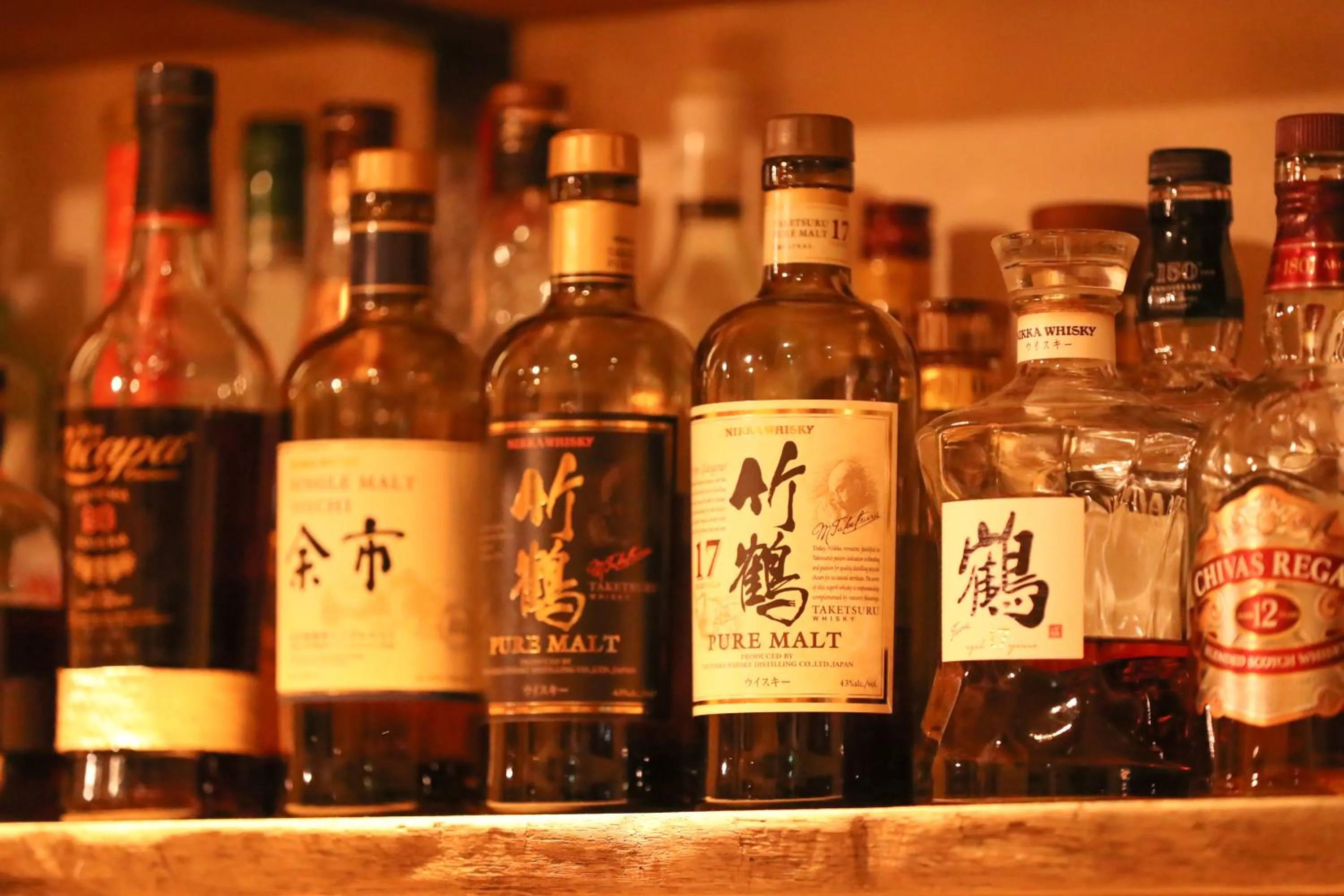 Lounge or bar in SappoLodge