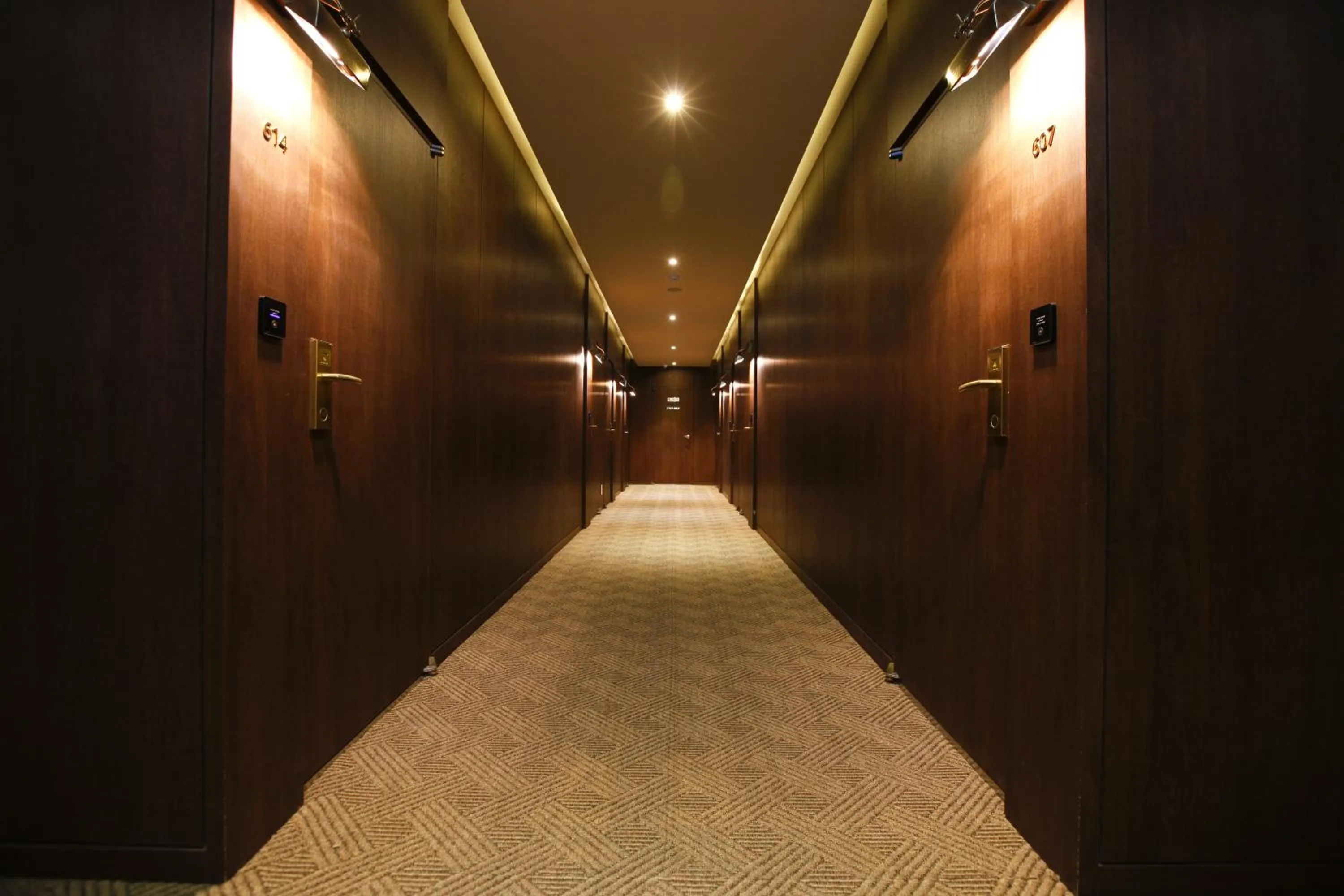 Area and facilities in Hotel Doma Myeongdong