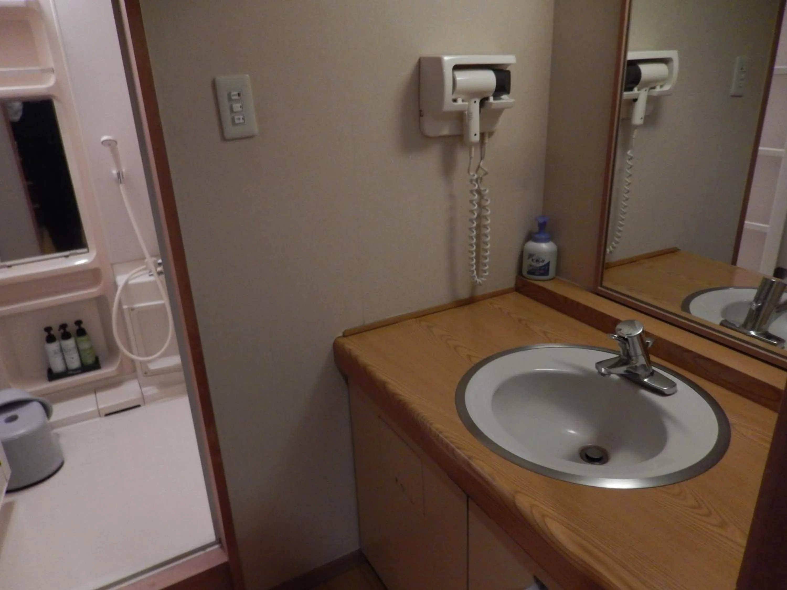 Bathroom in Hotel Daisen Shirogane