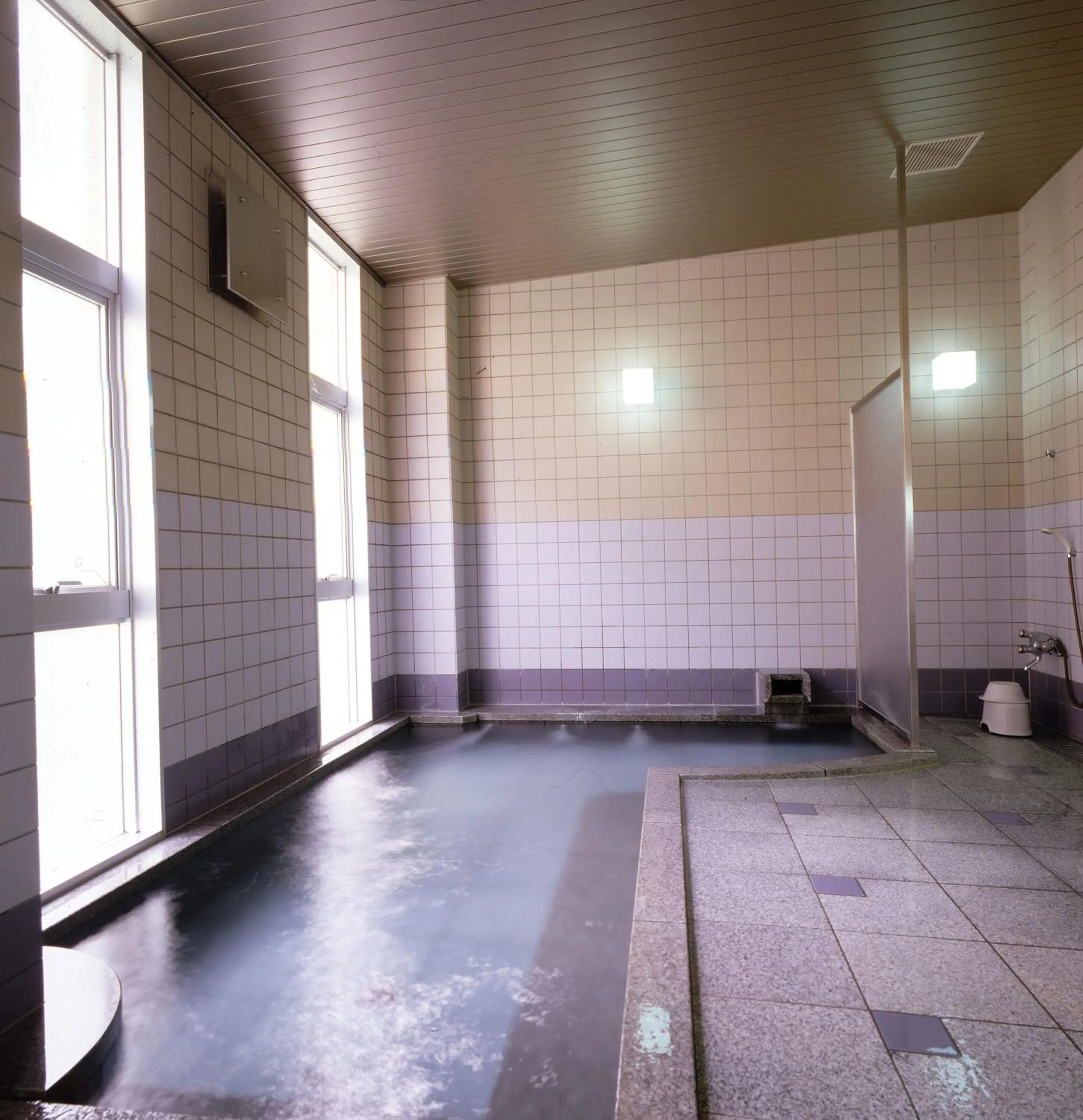 Bathroom in Hotel Daisen Shirogane