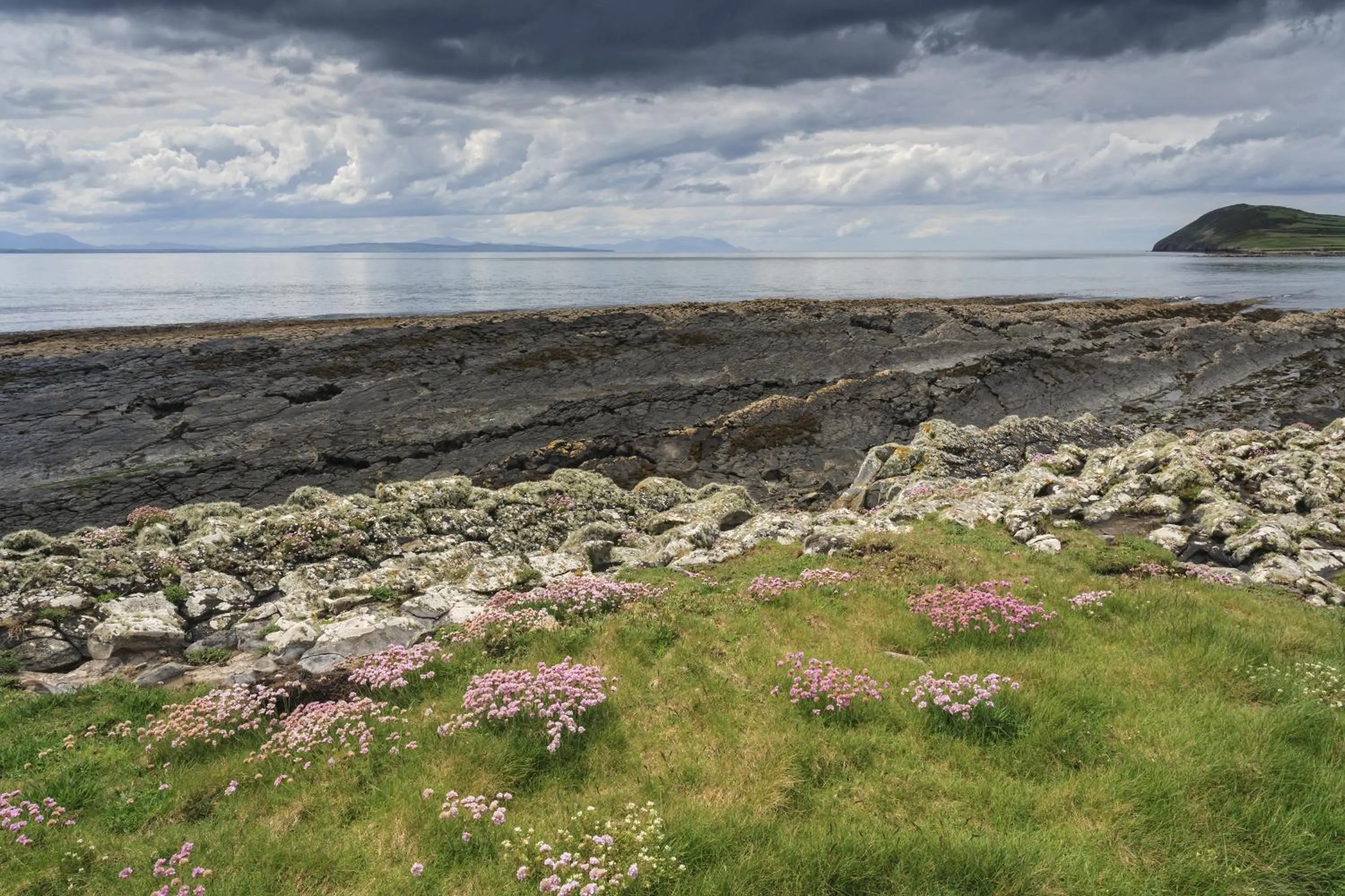 Neighbourhood in Glencarrig B&B