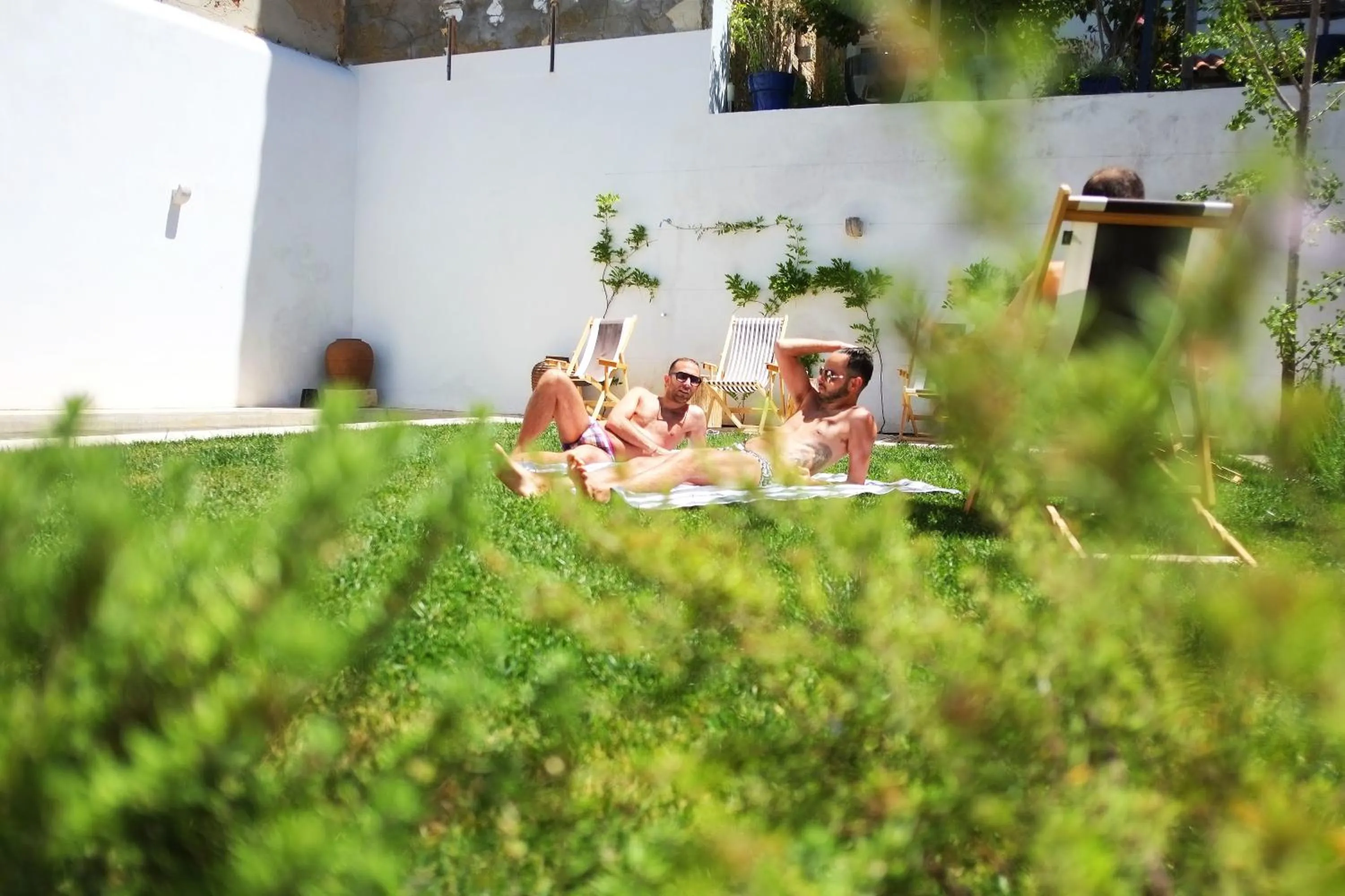 Garden in The Late Birds Lisbon - Gay Urban Resort