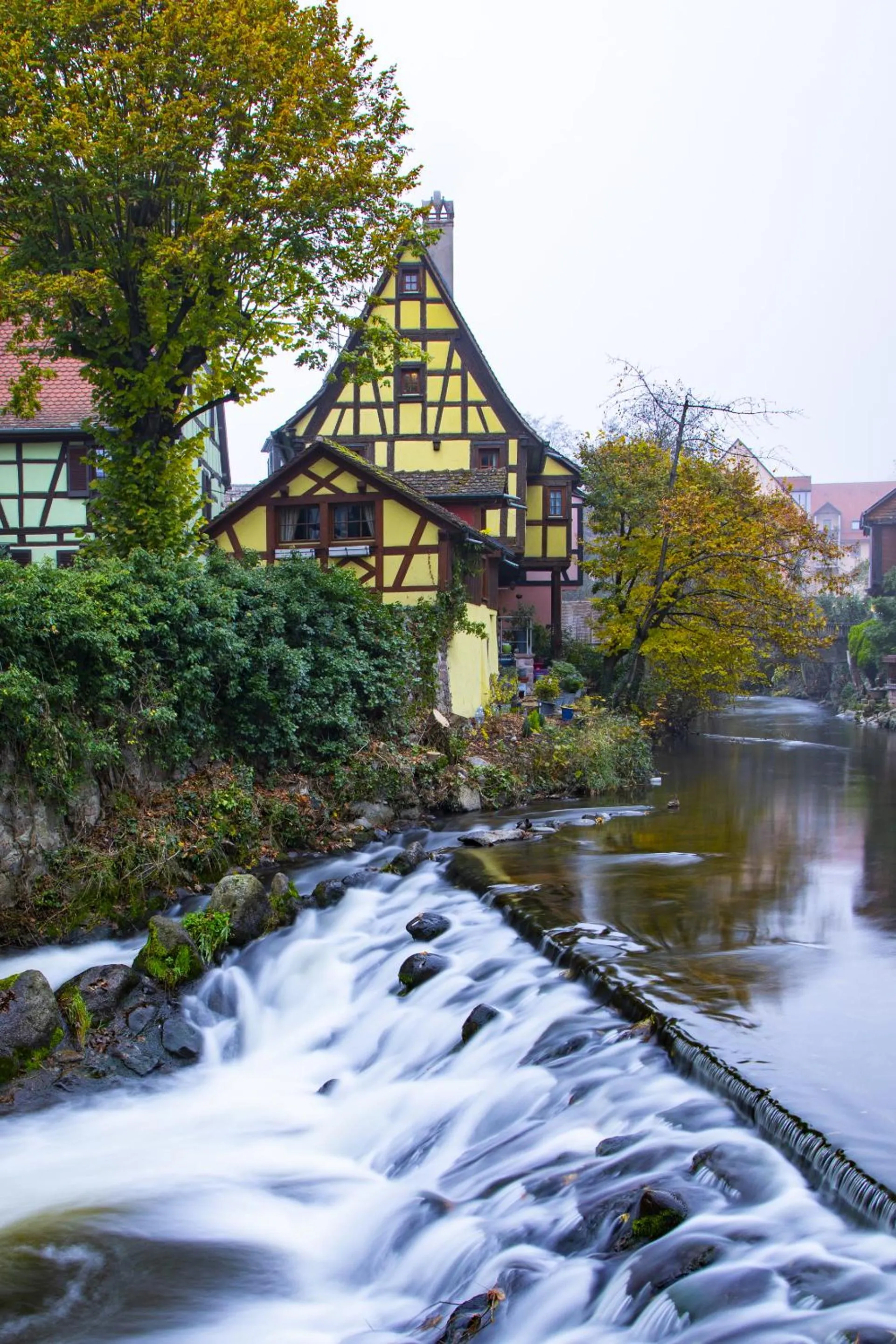 Activities in Origin'alsace