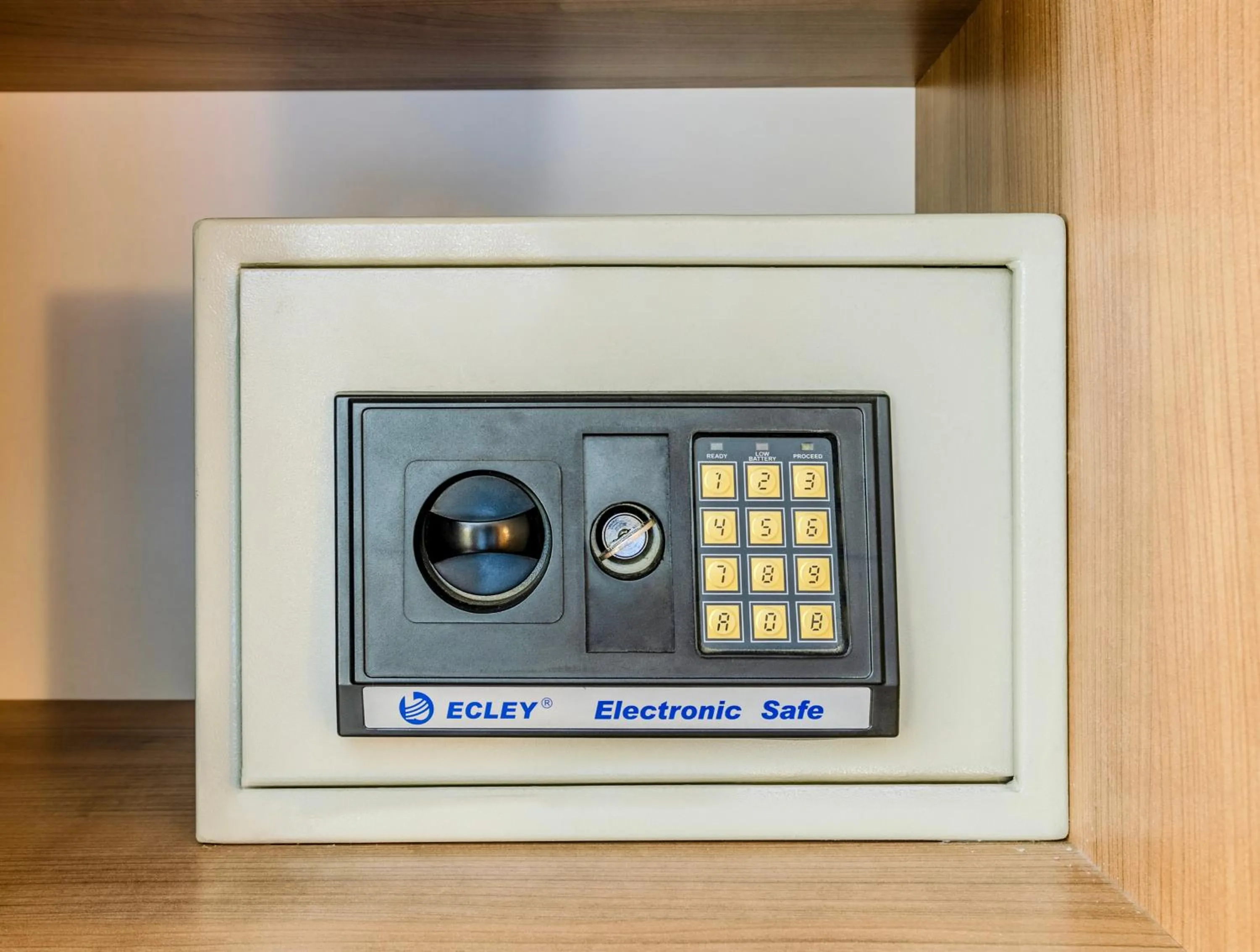 safe in Hamit Hotel Istanbul - Special Category