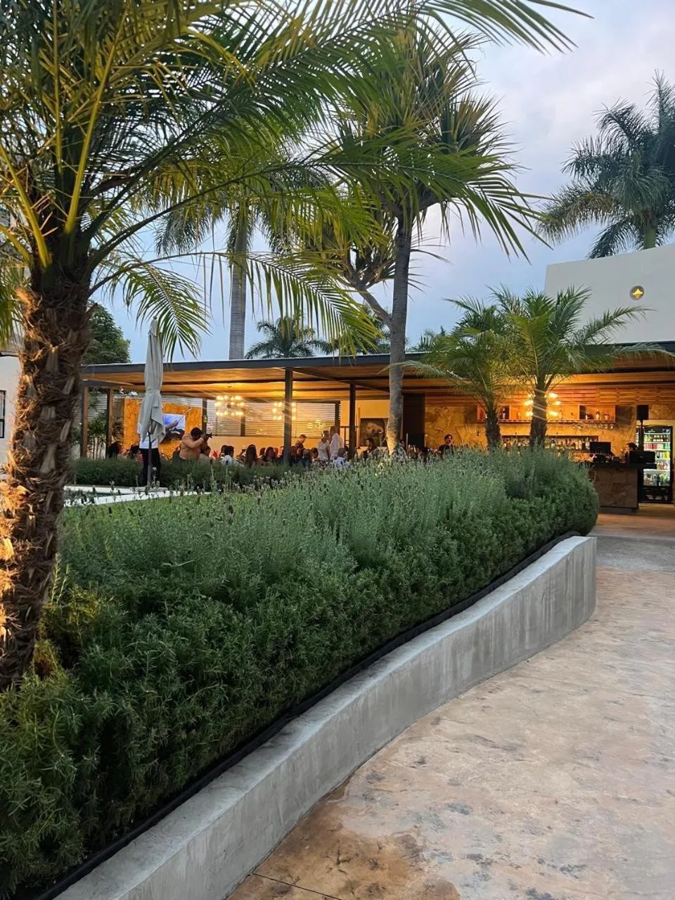 Garden in Casa Begonias Hotel mas Villas