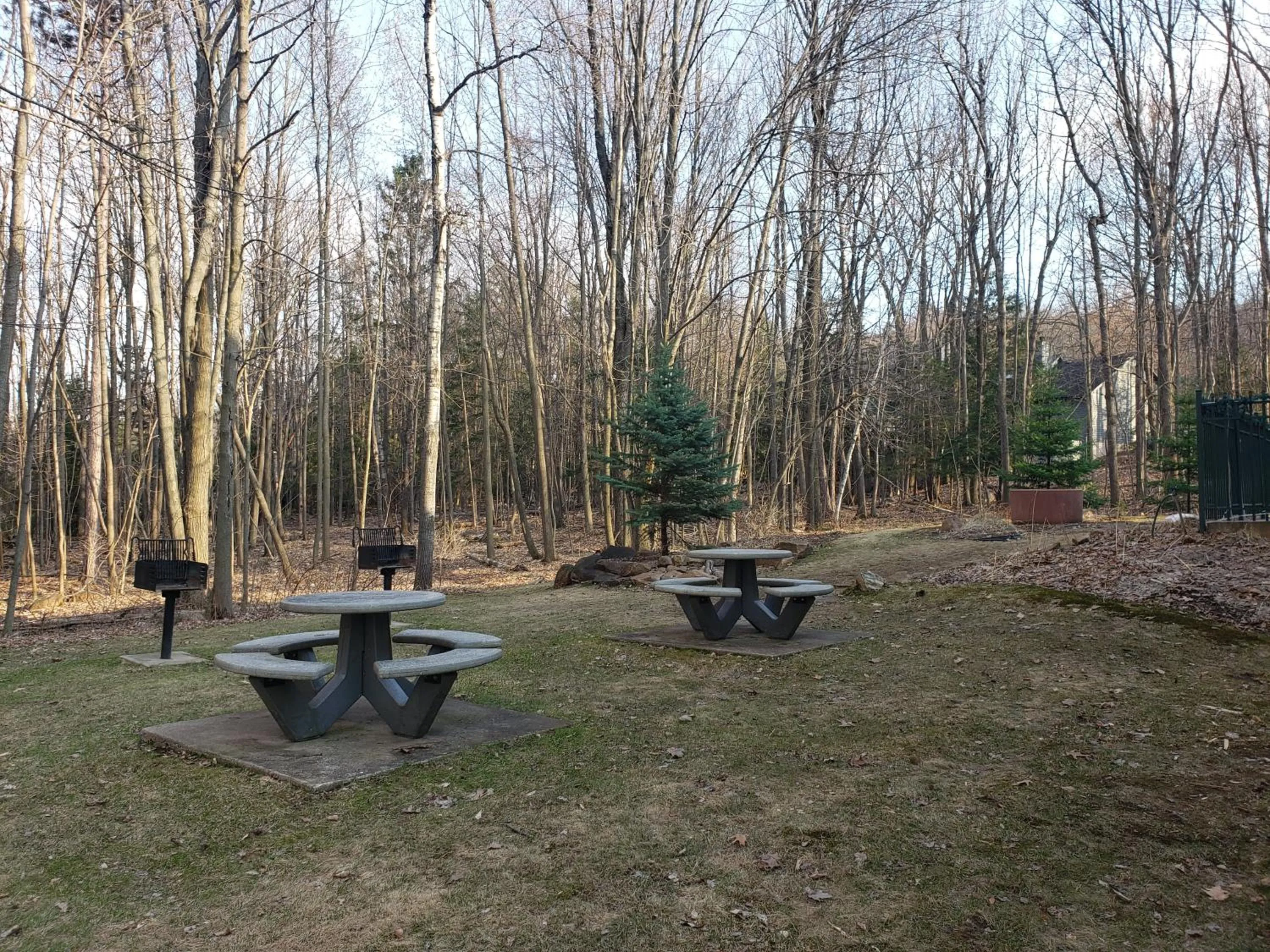 BBQ facilities in Rib Mountain Inn