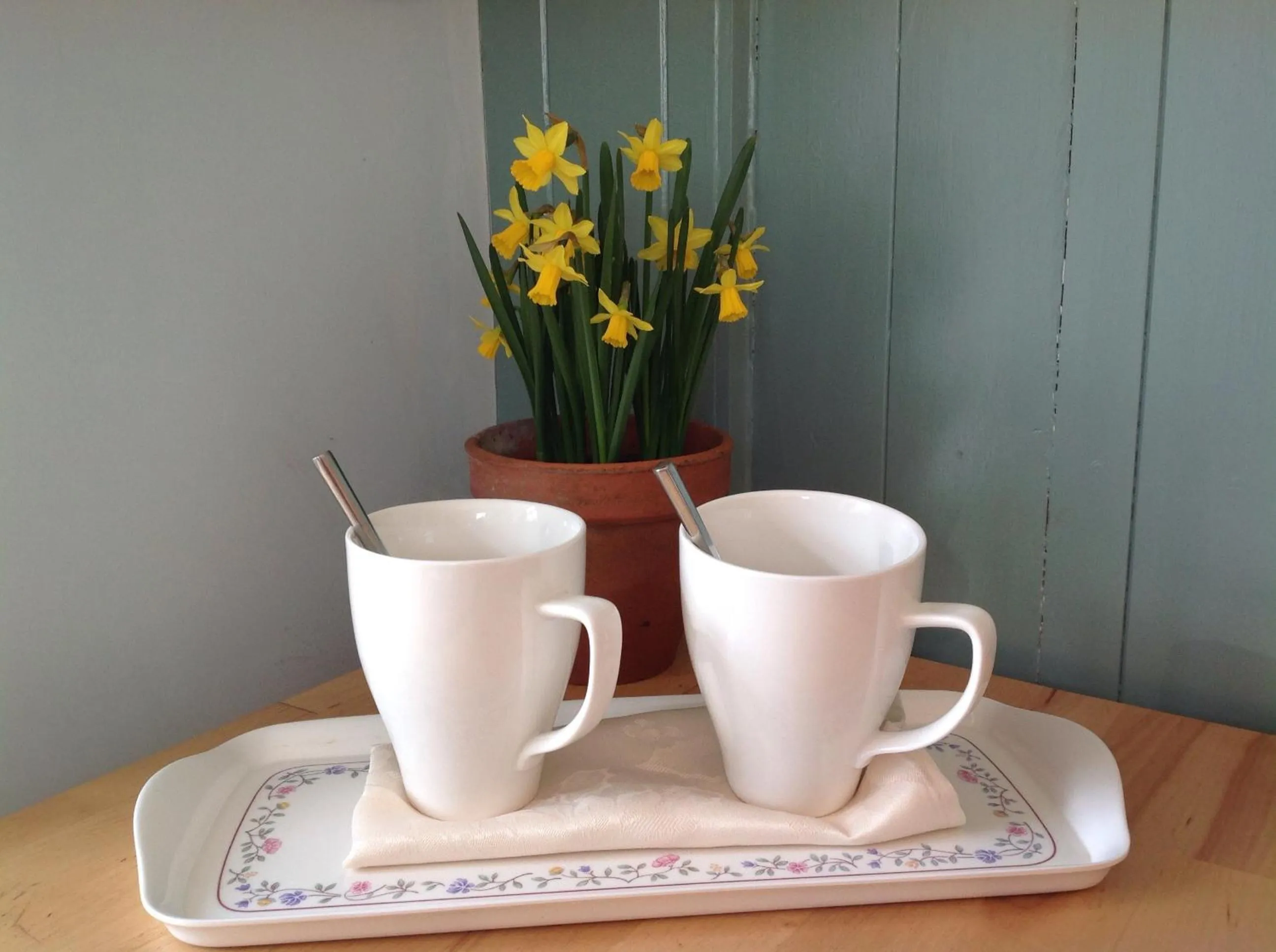 Spring in The Summer Room