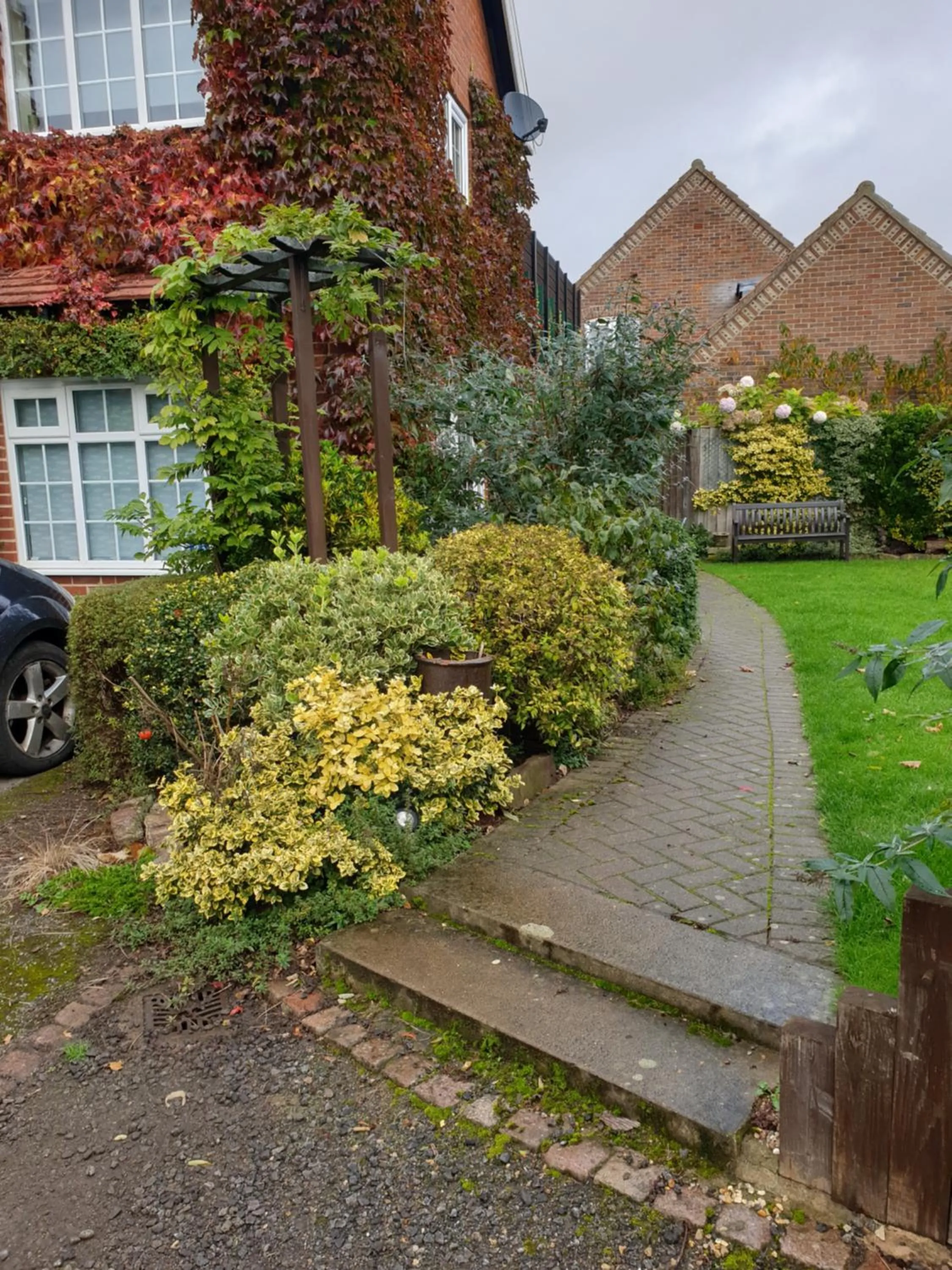 Garden in The Summer Room