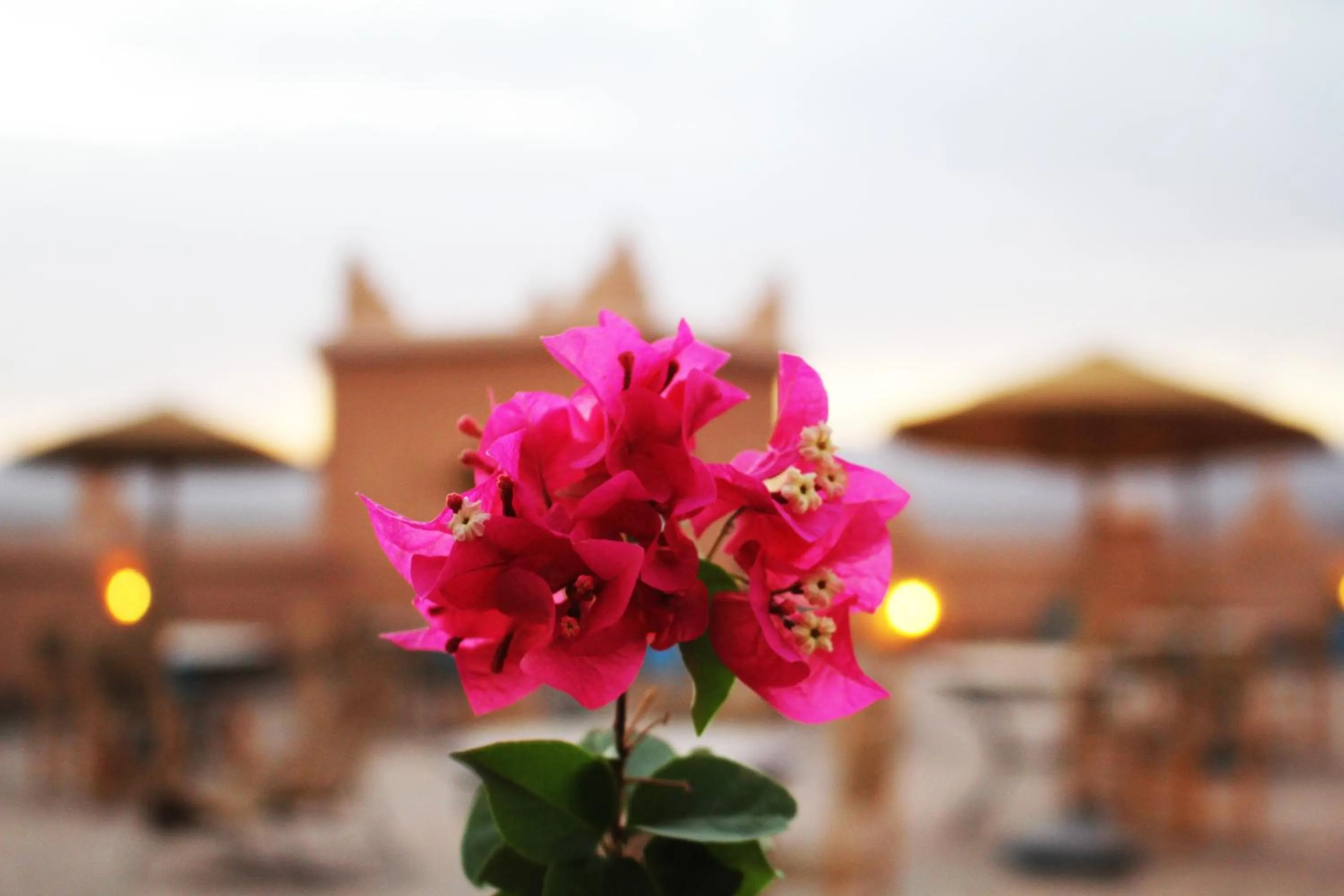 Balcony/Terrace in Kasbah Ennakb