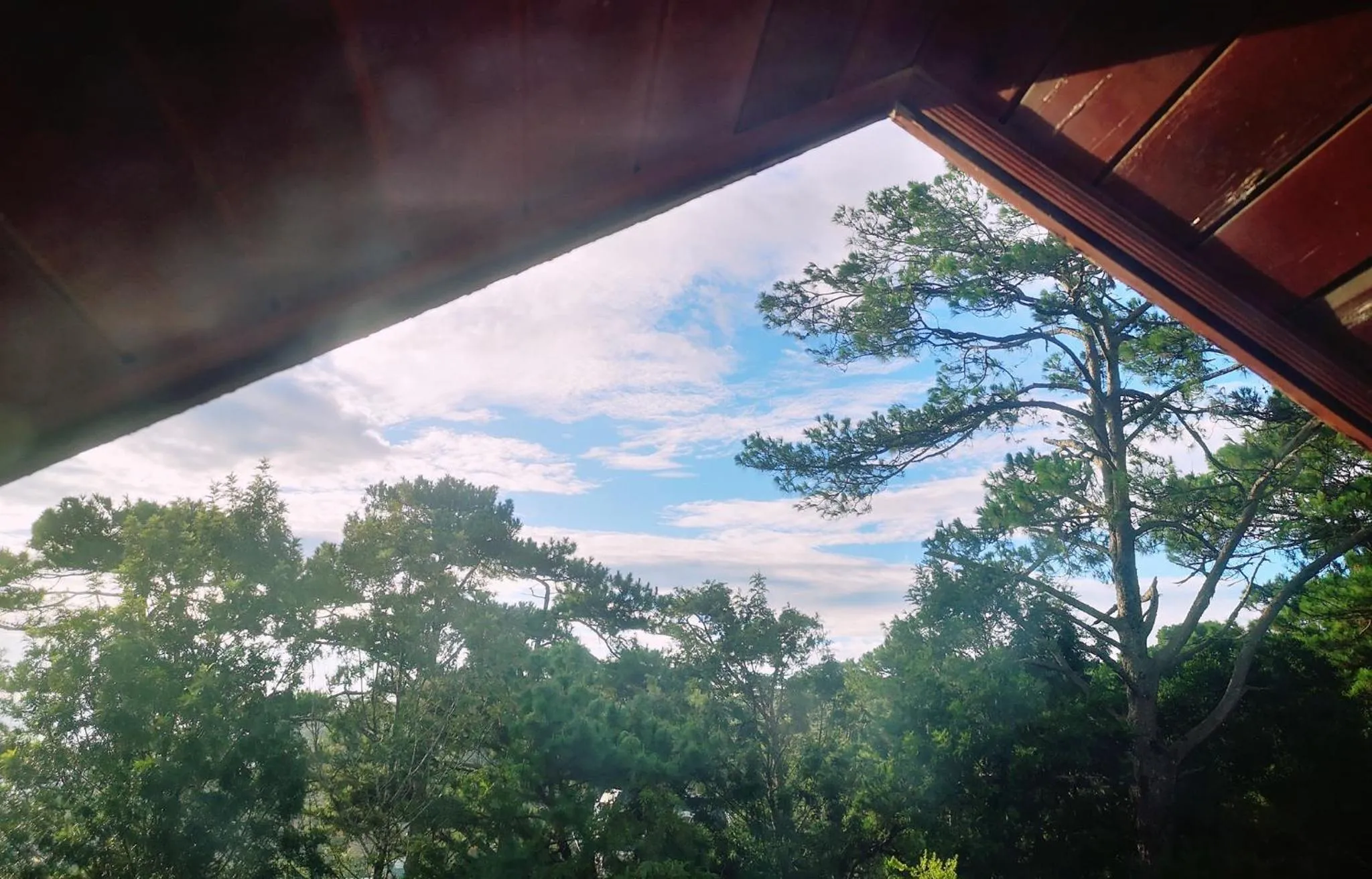 BICH DAO Boutique - Dalat