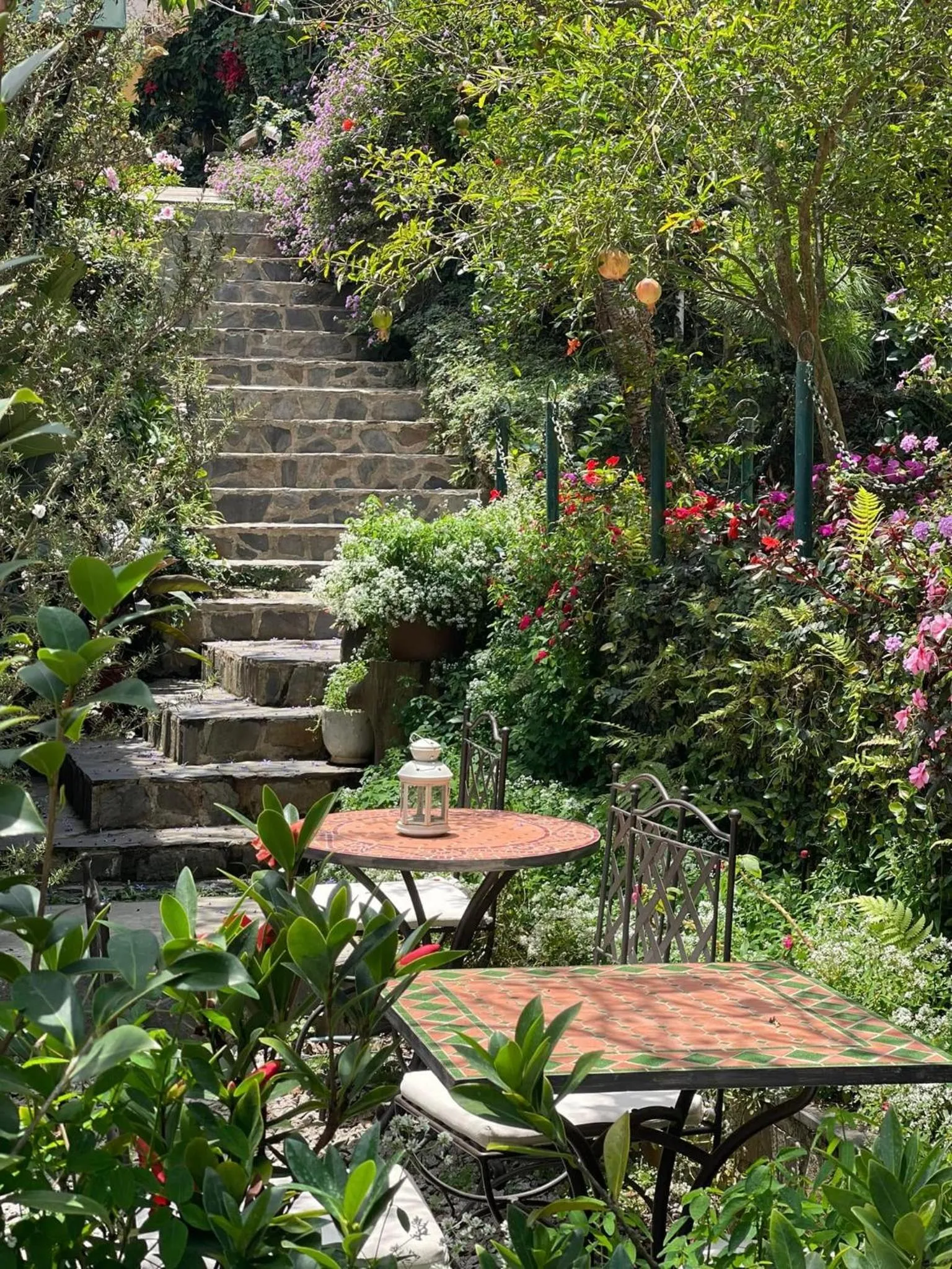 BICH DAO Boutique - Dalat