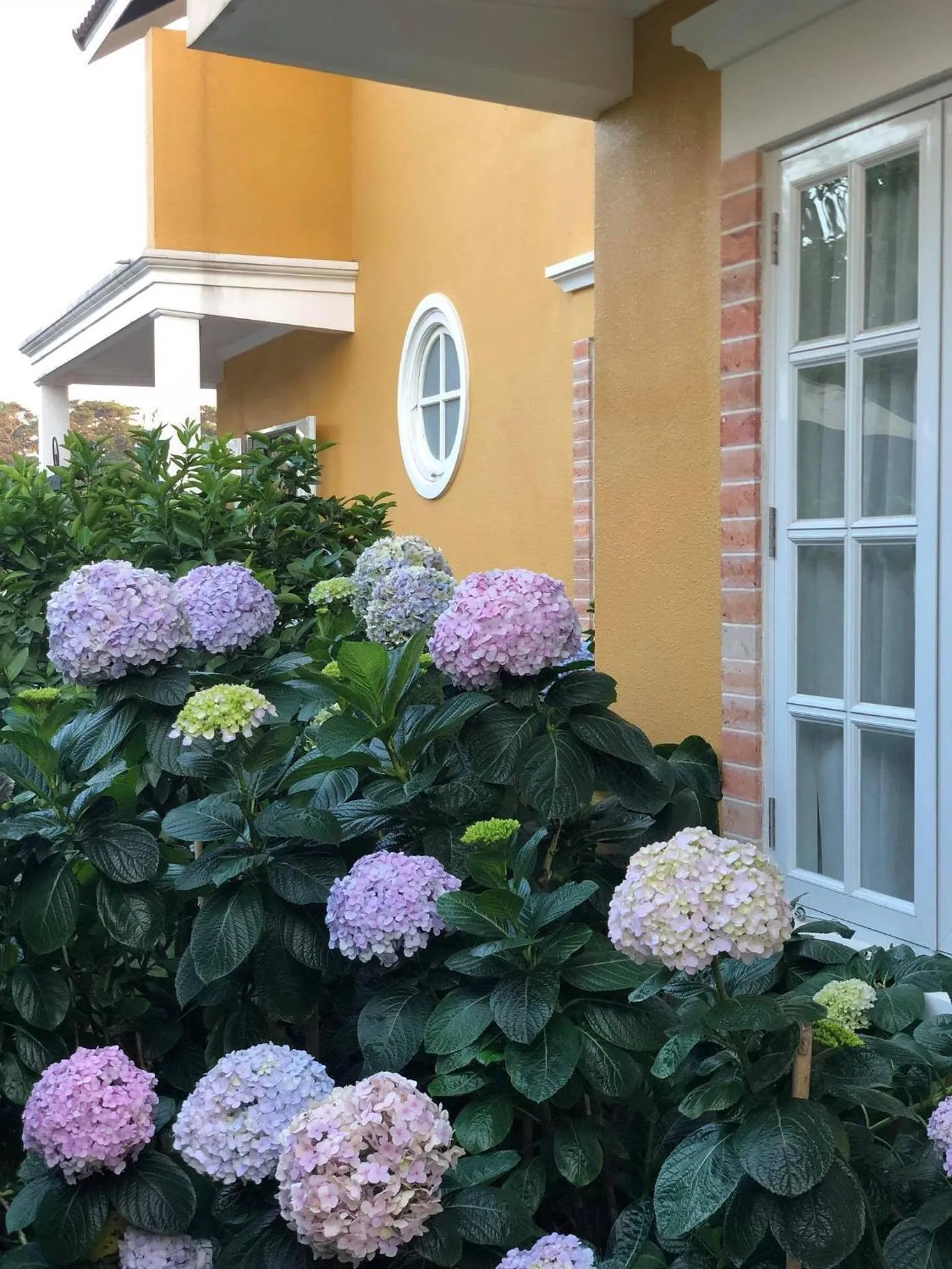 Garden in BICH DAO Boutique - Dalat