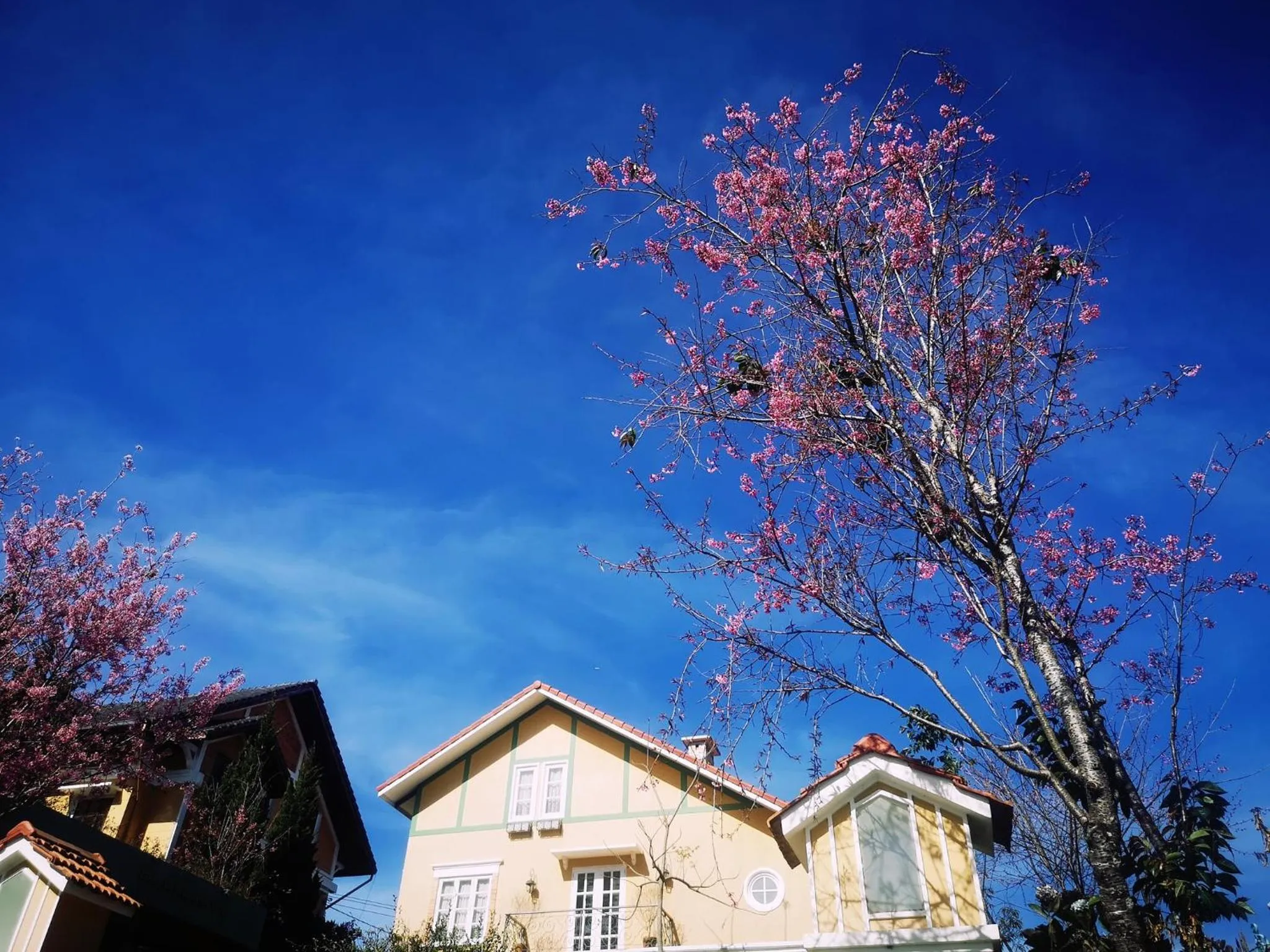 BICH DAO Boutique - Dalat