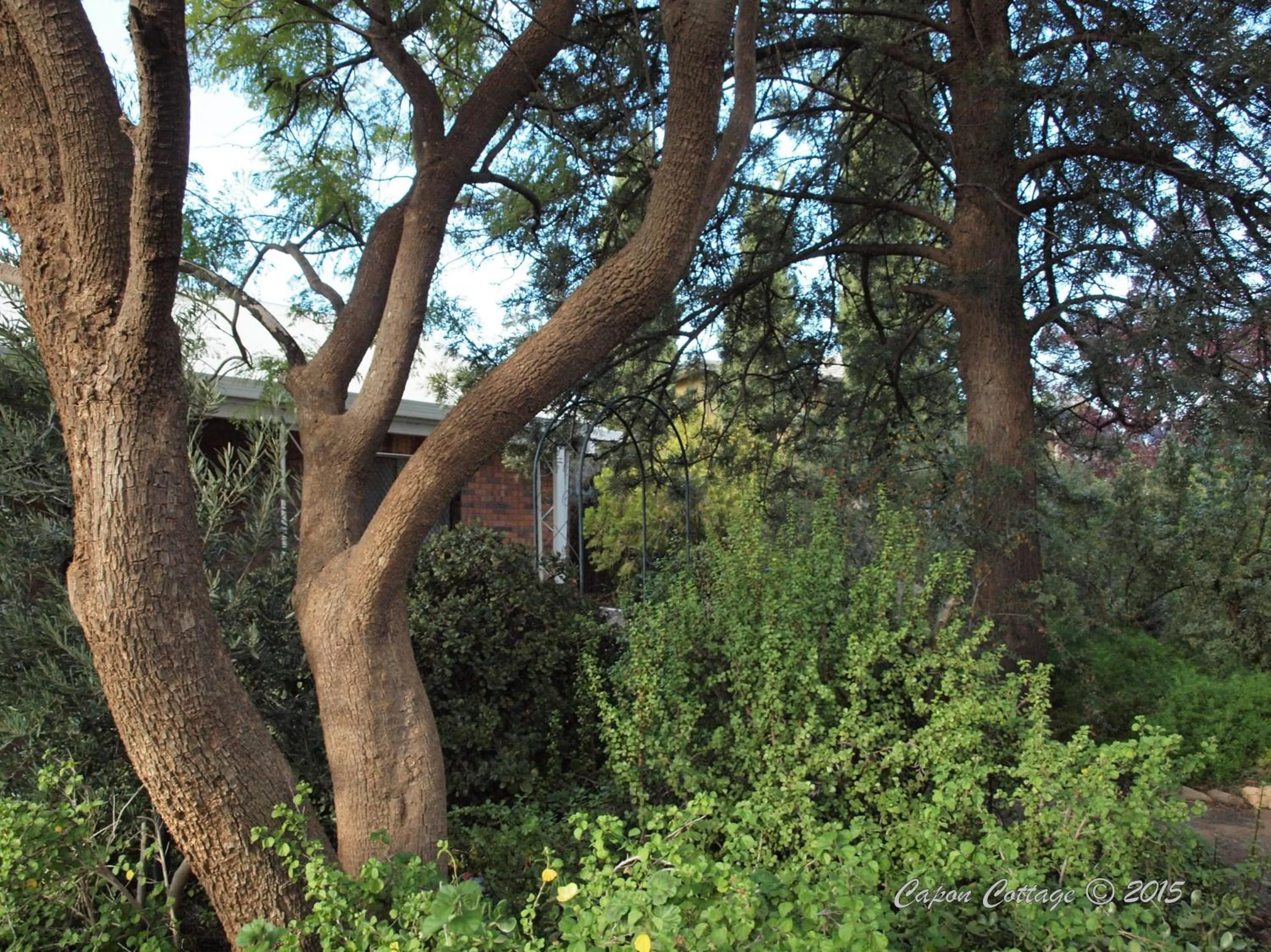 Property building in Capon Cottage
