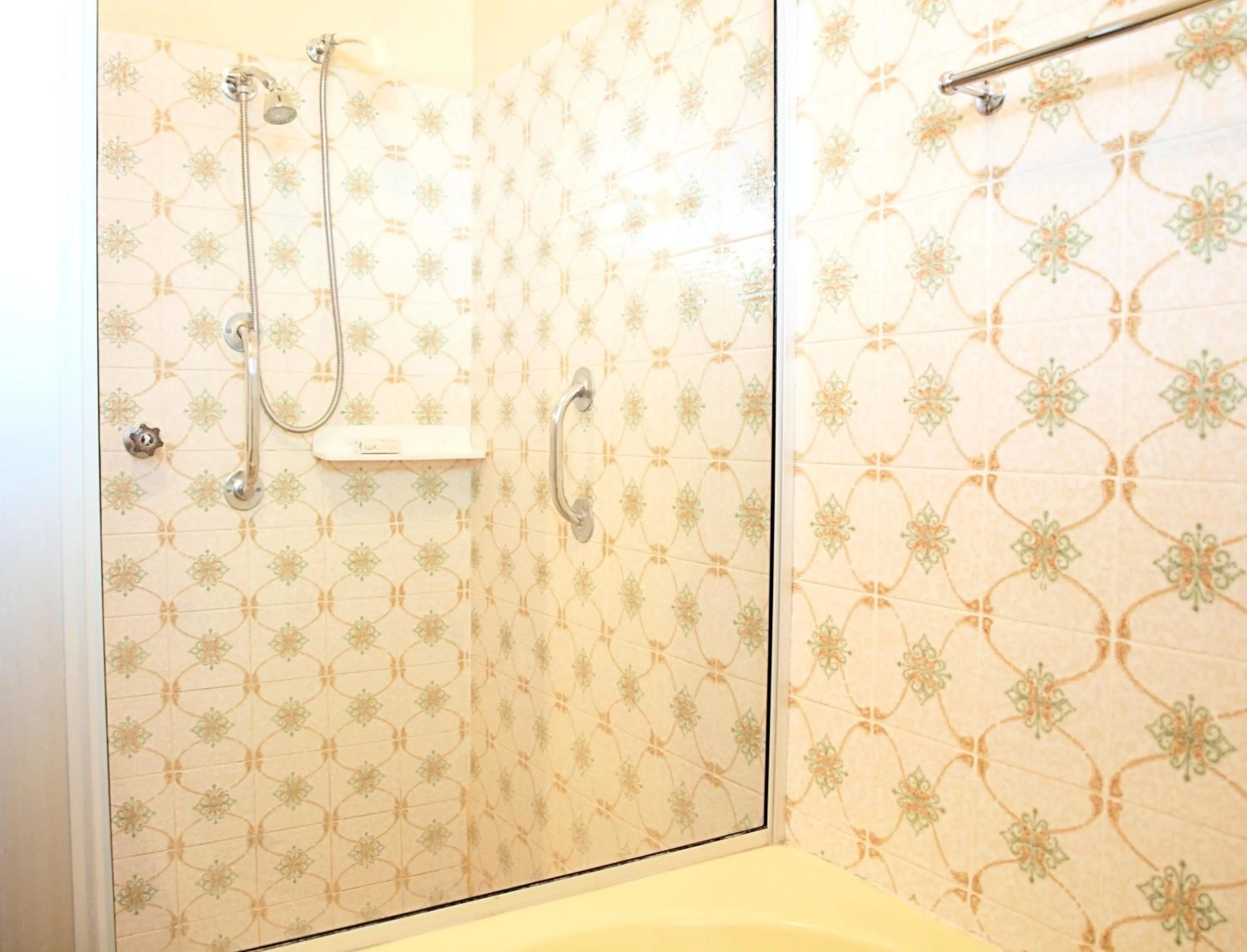 Shower in Capon Cottage