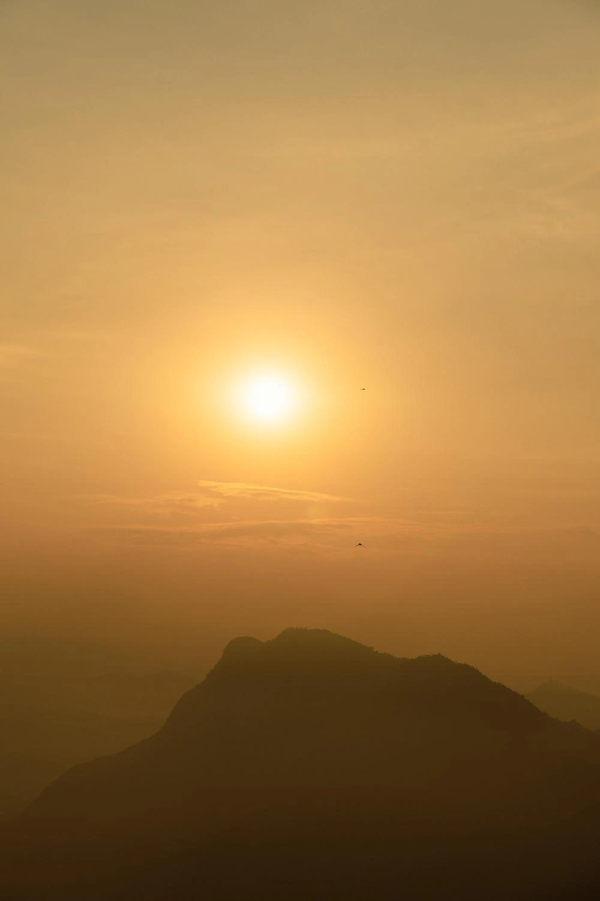 Mountain view in Nana Mountain Resort Mt Annapurna View