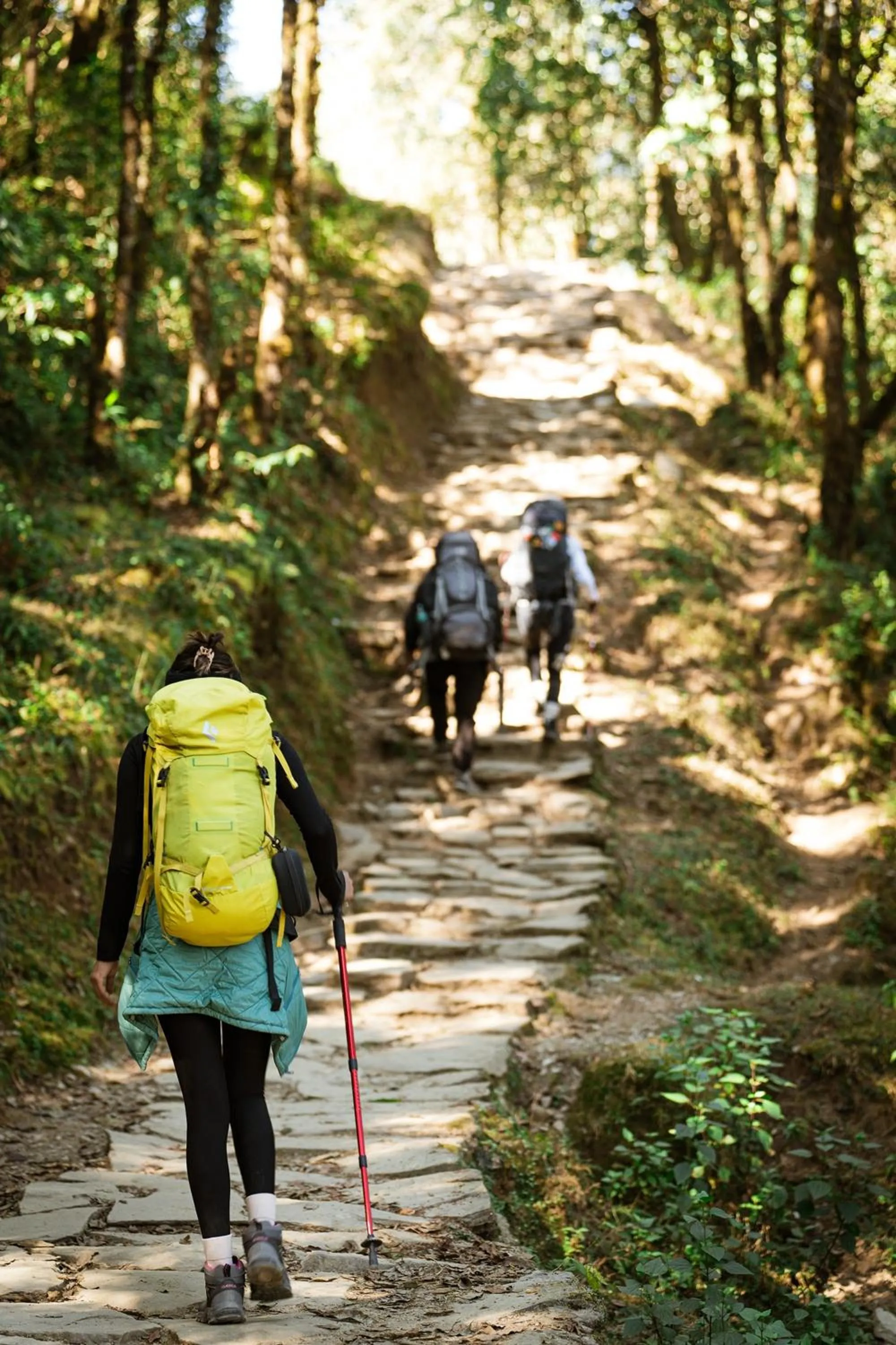group of guests in Nana Mountain Resort Mt Annapurna View