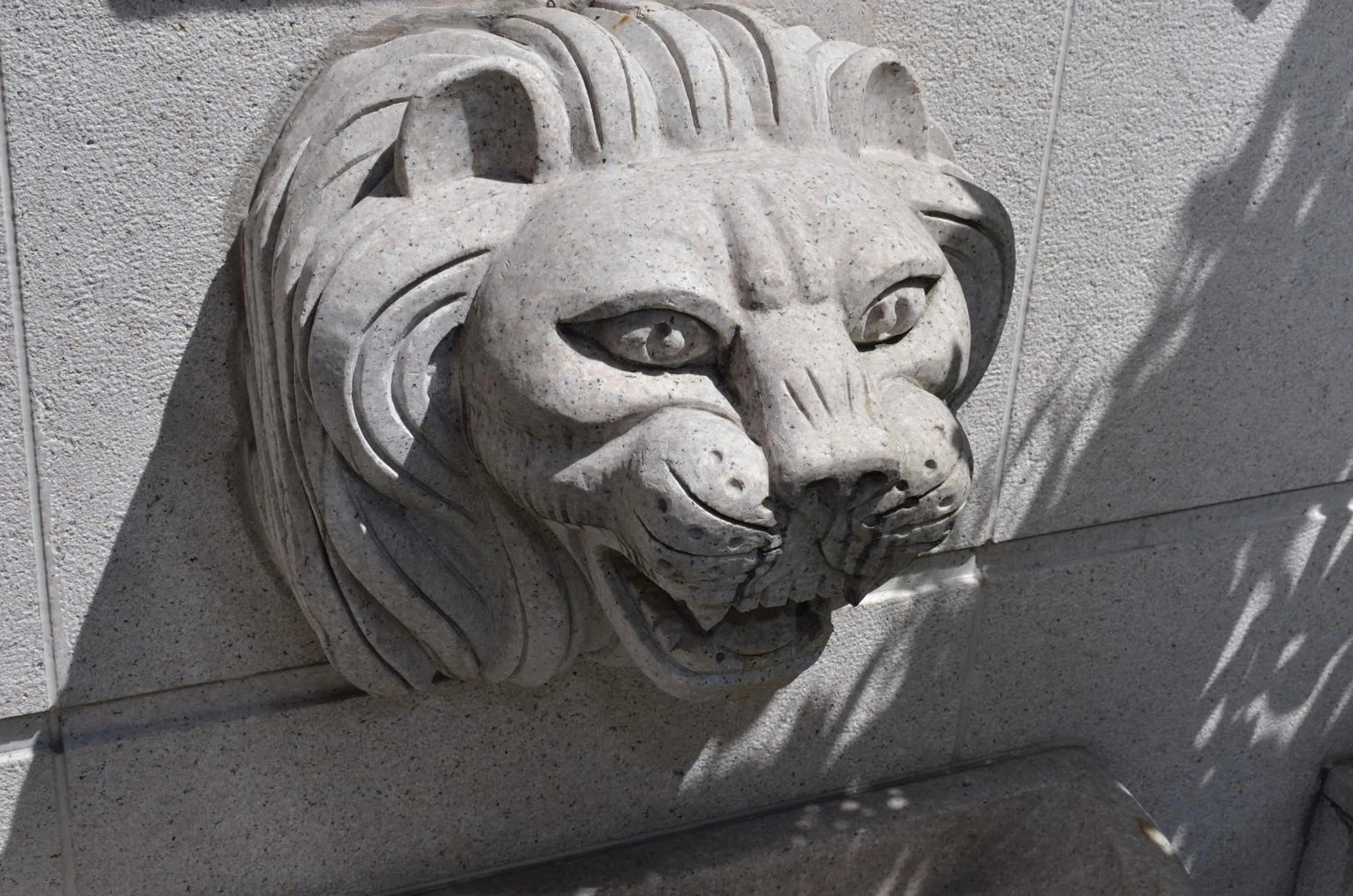 Area and facilities in Hotel Modern Puli