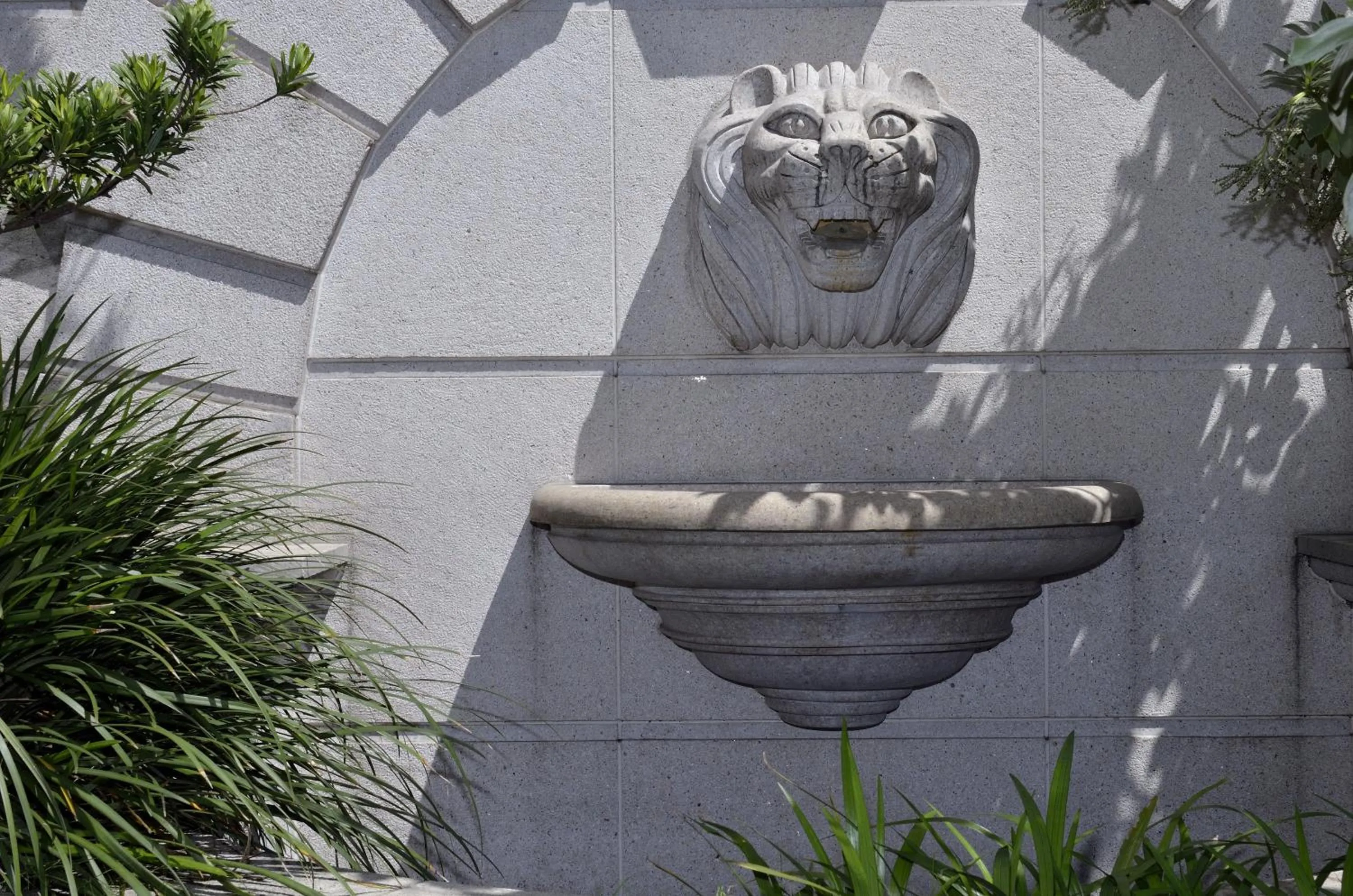 Area and facilities in Hotel Modern Puli