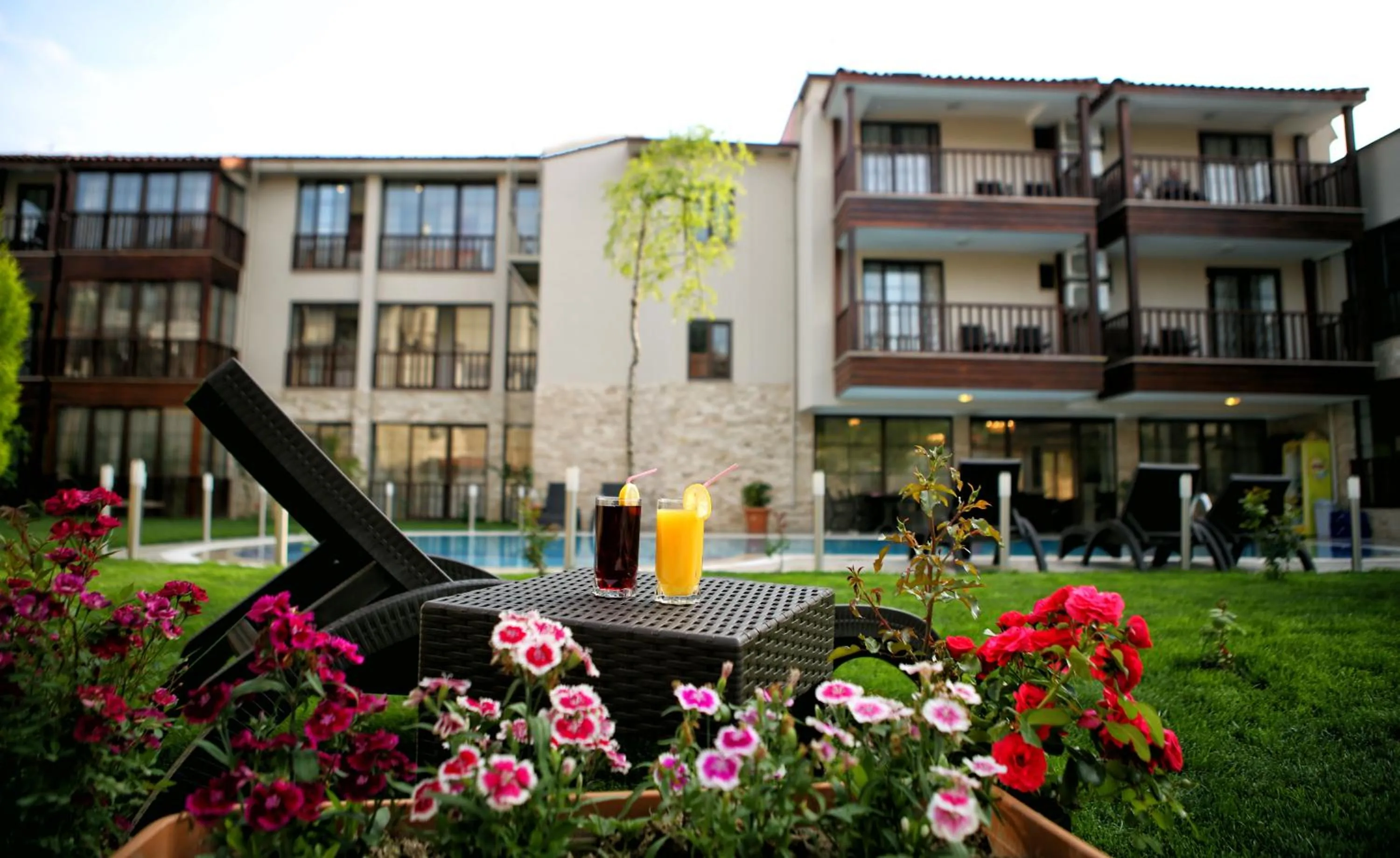 Garden in Venus Suite Hotel