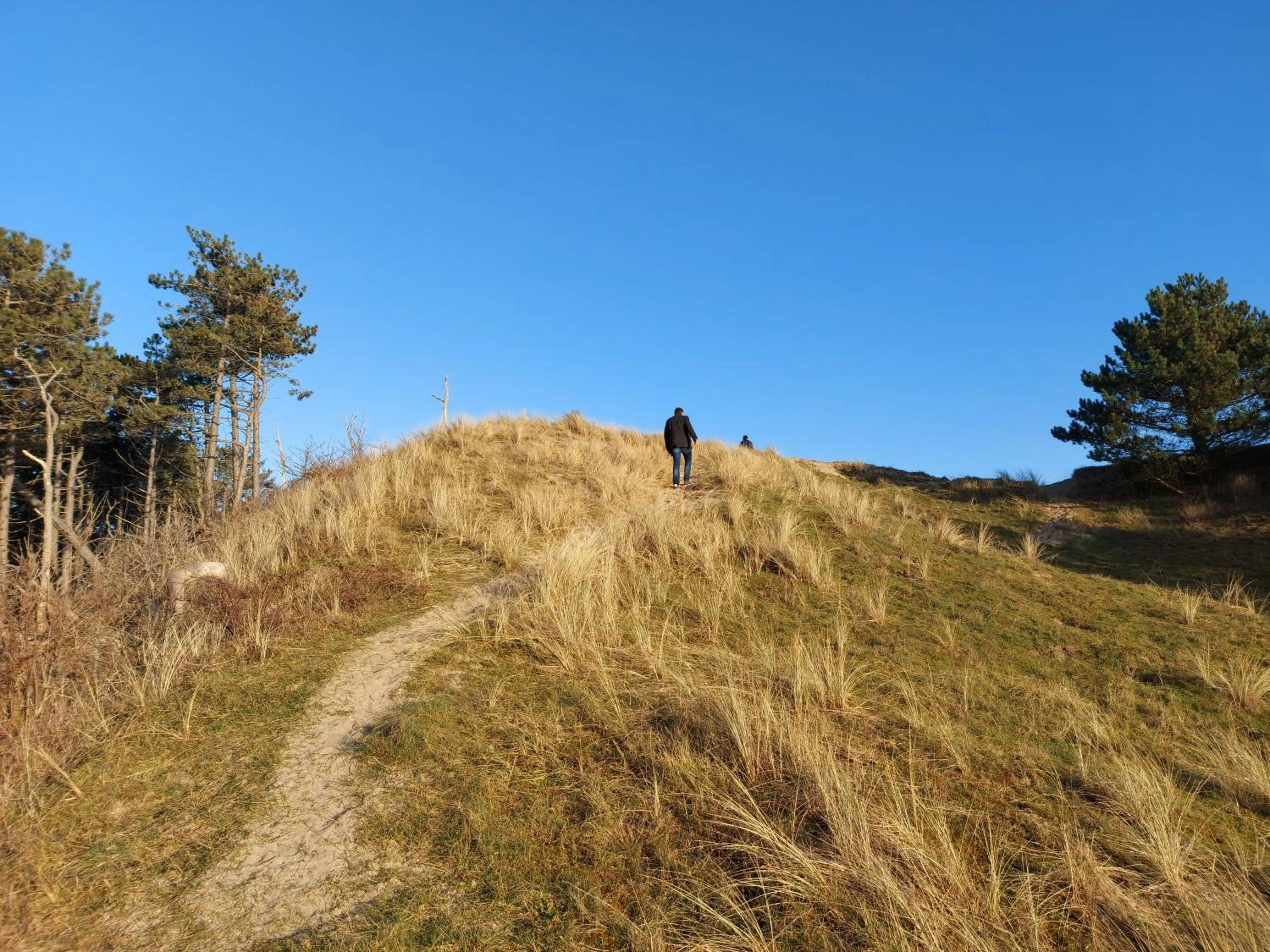 Natural landscape in Prins Appartementen