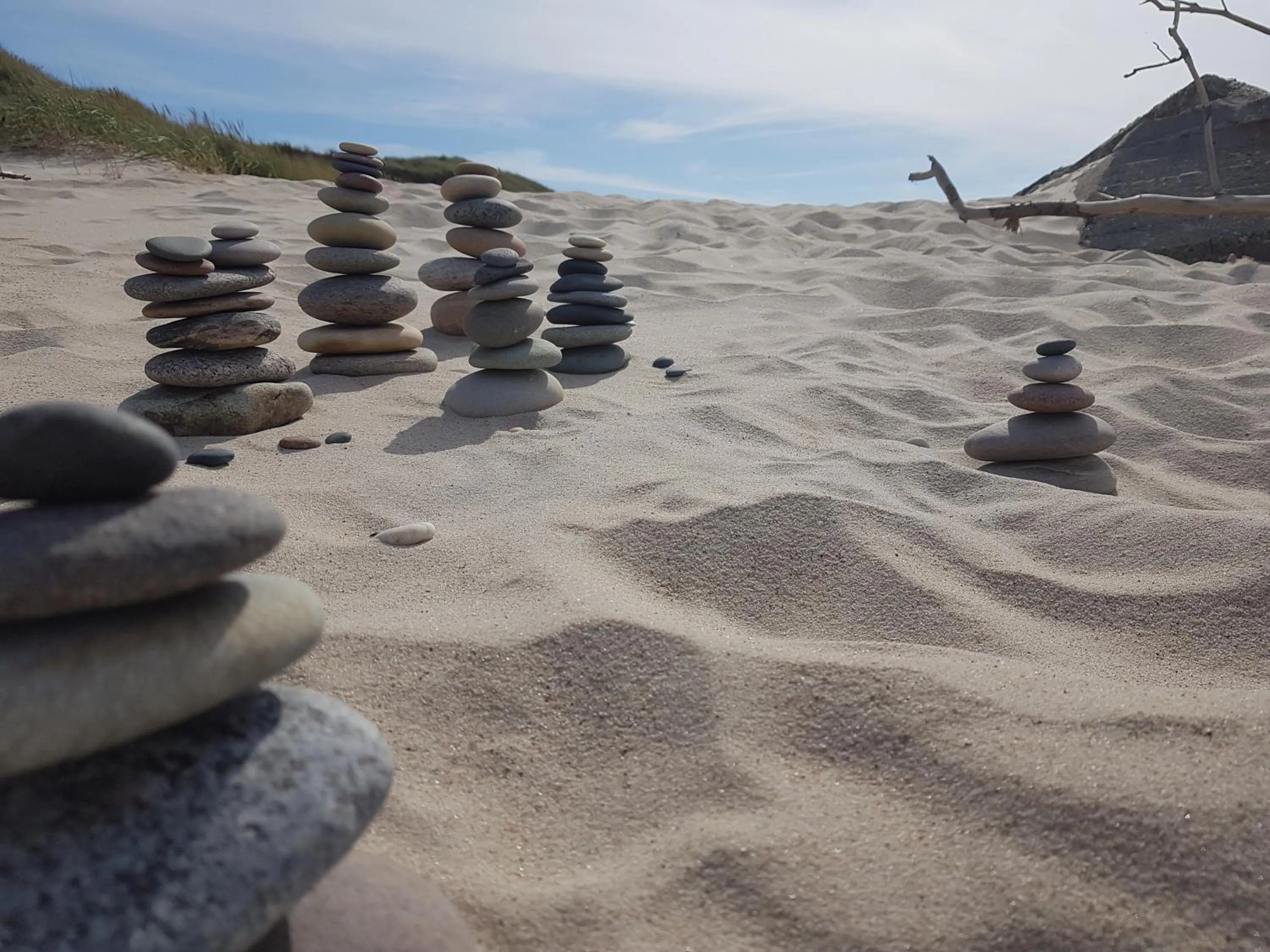 Summer in B&B Villa Filsø