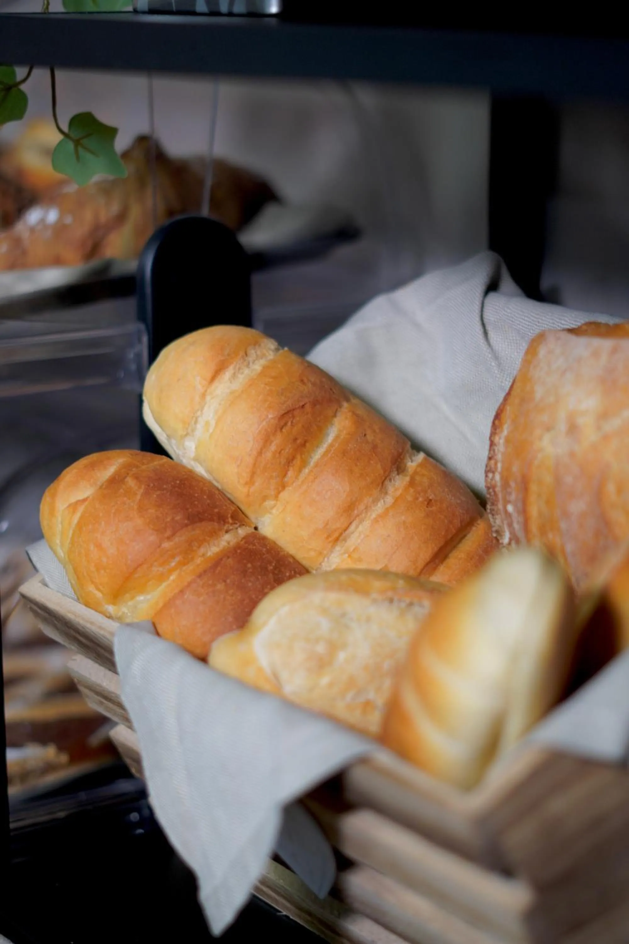 Food and drinks in Hotel Europa