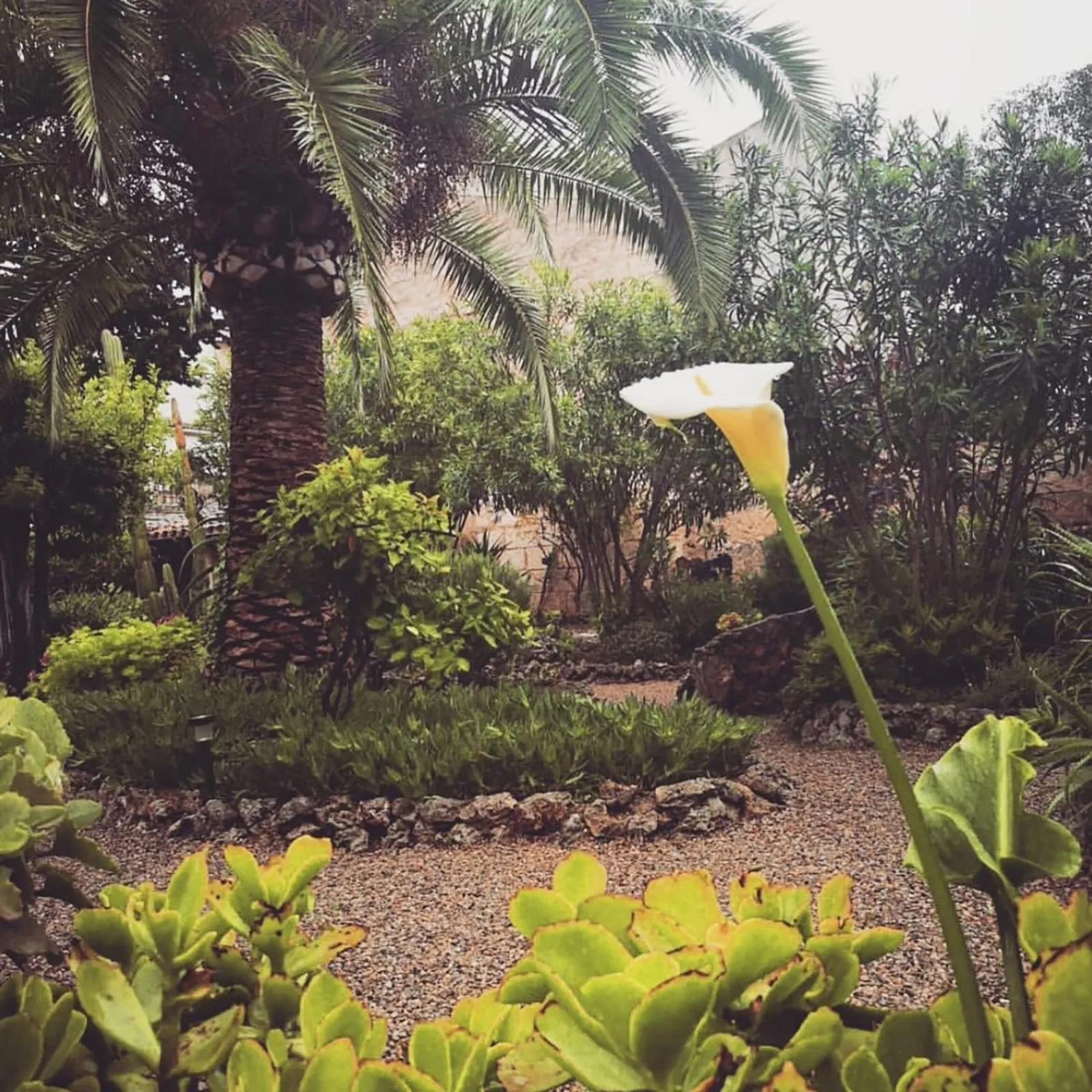 Garden view in Casa Mona Turismo de Interior