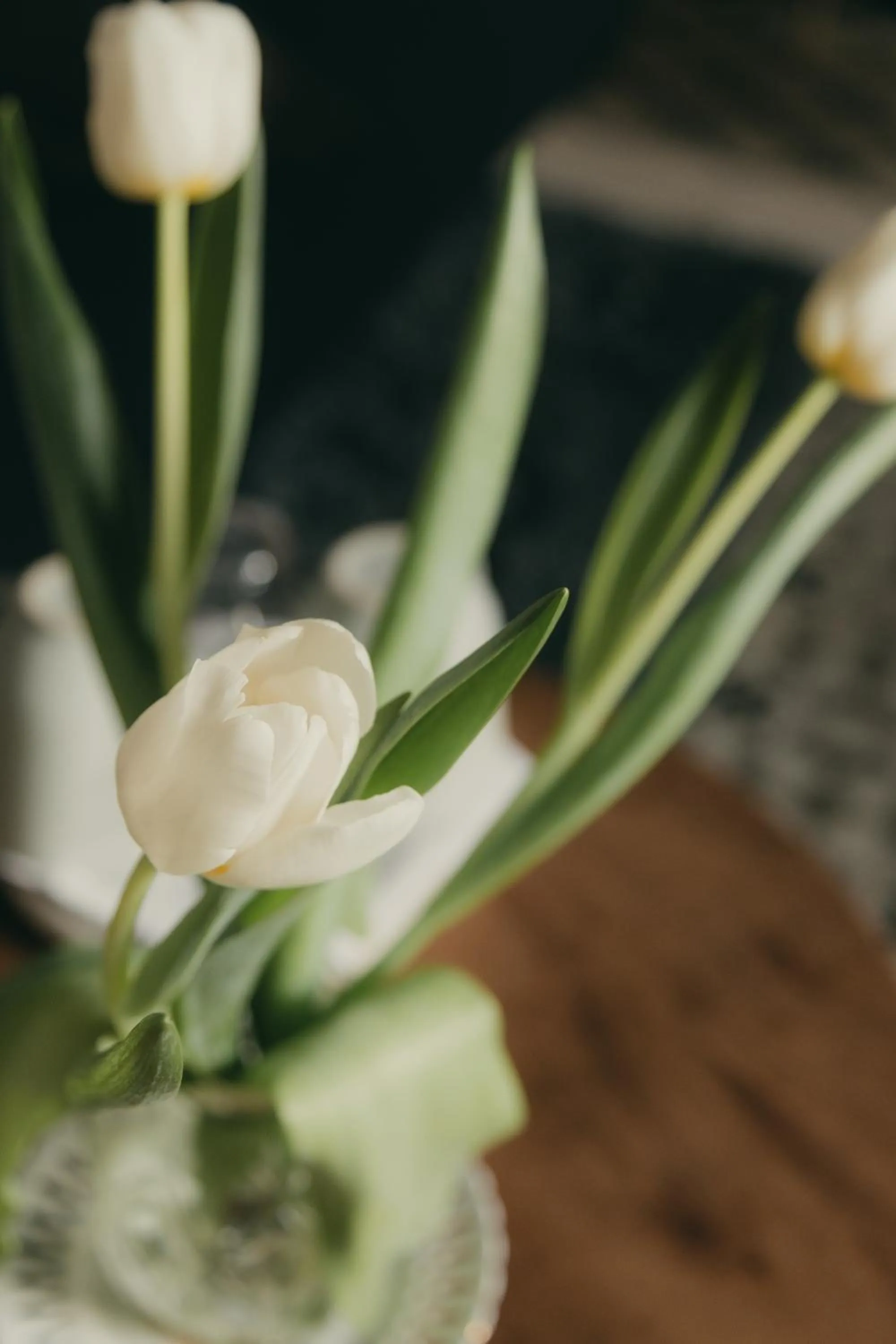 Casa Mona Turismo de Interior