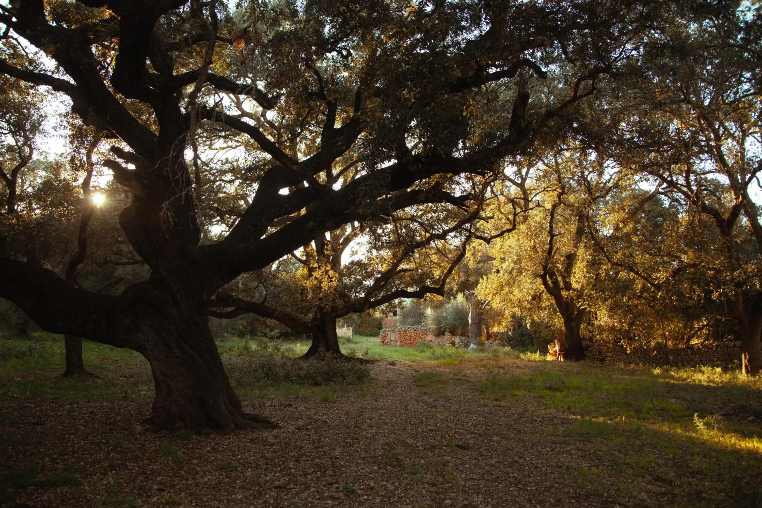 Casa Mona Turismo de Interior