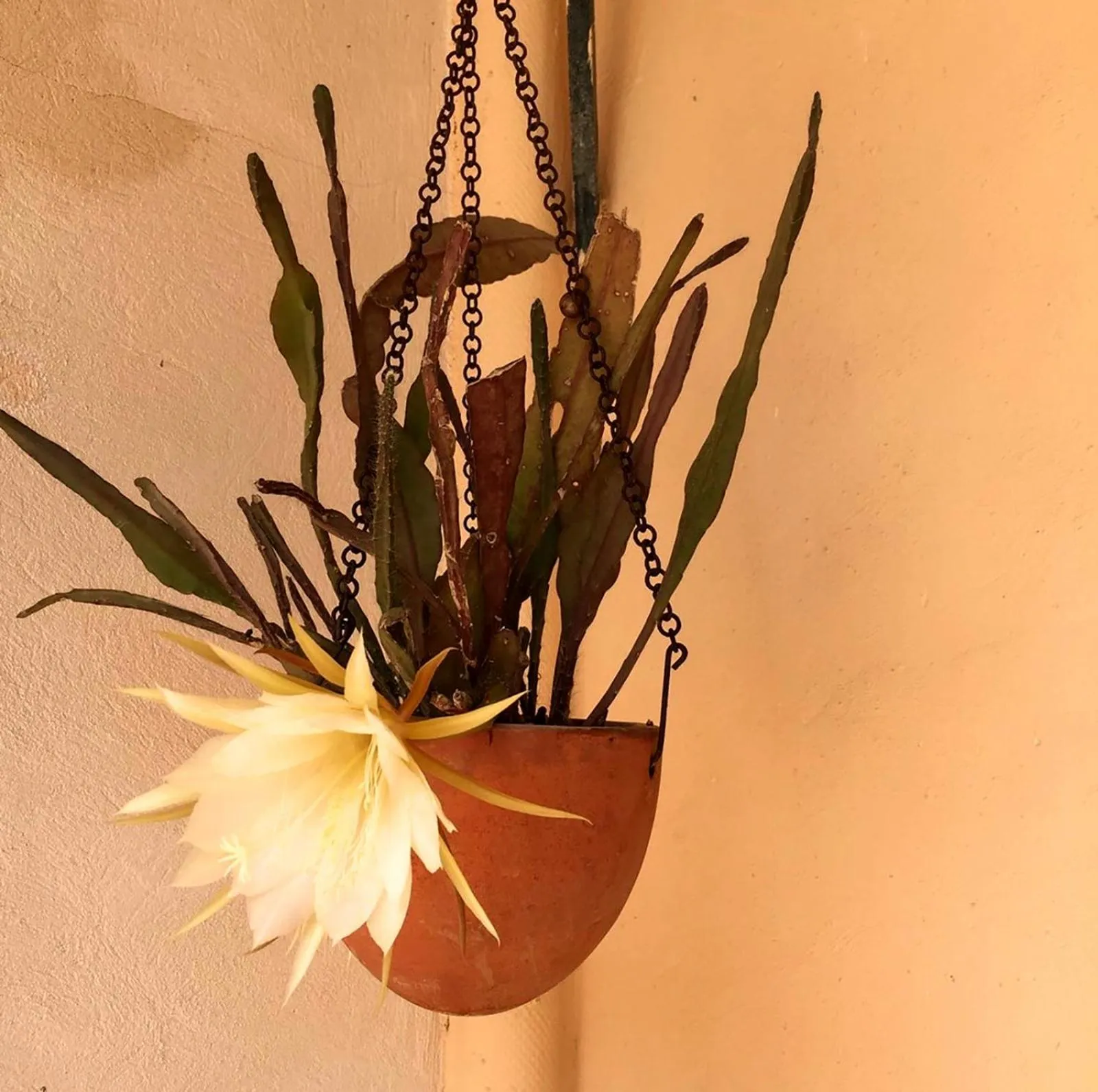 Casa Mona Turismo de Interior