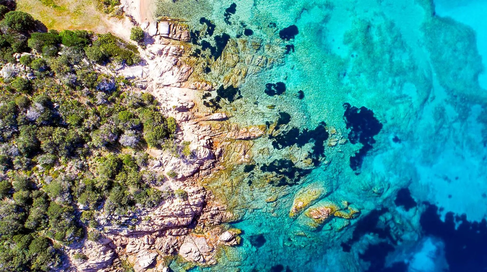 Beach in HOTIDAY Room Collection - Baja Sardinia