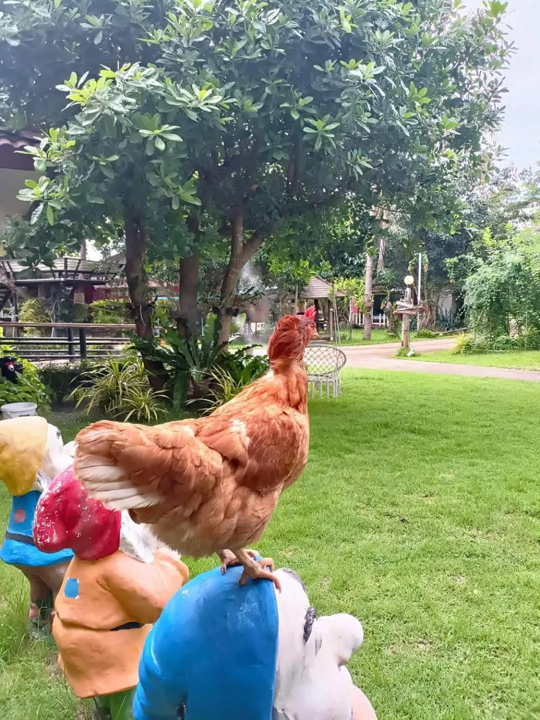 Villa De Bua Resort Nan