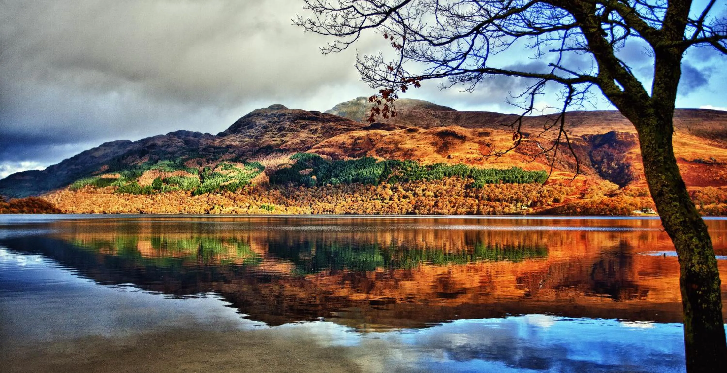 Area and facilities in The Corries B&B