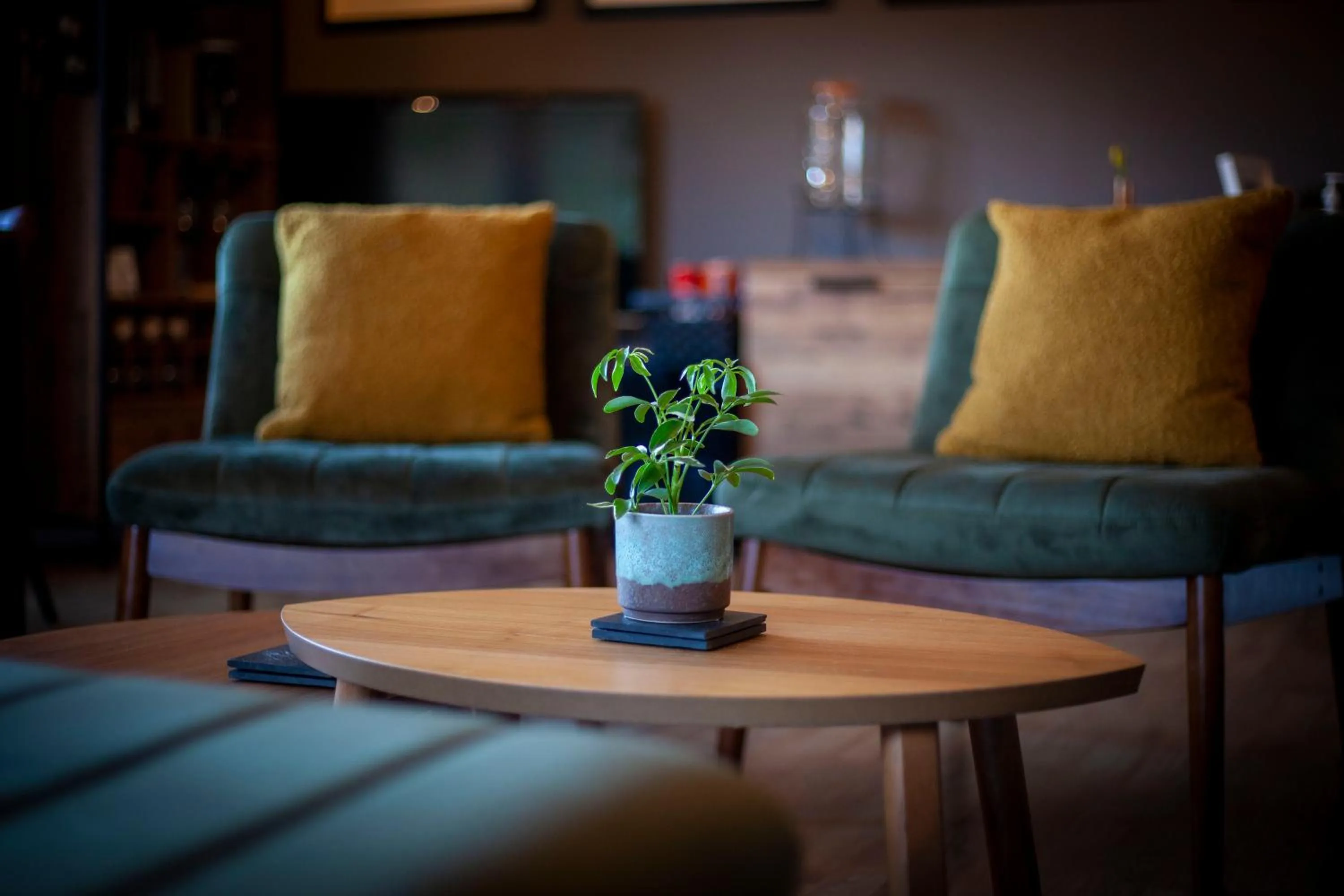 Lounge or bar in The Corries B&B