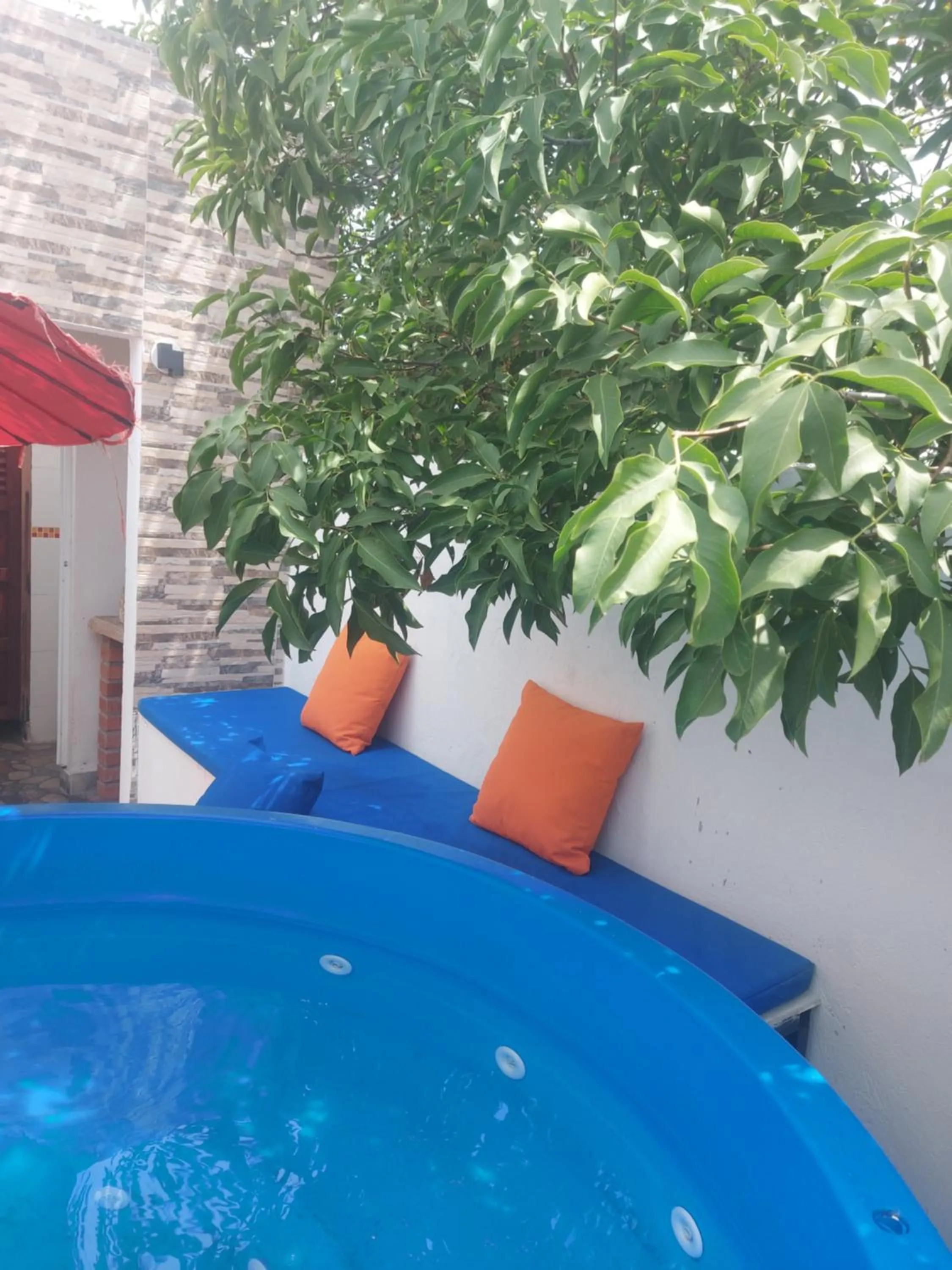 Garden in Zana Hotel Boutique