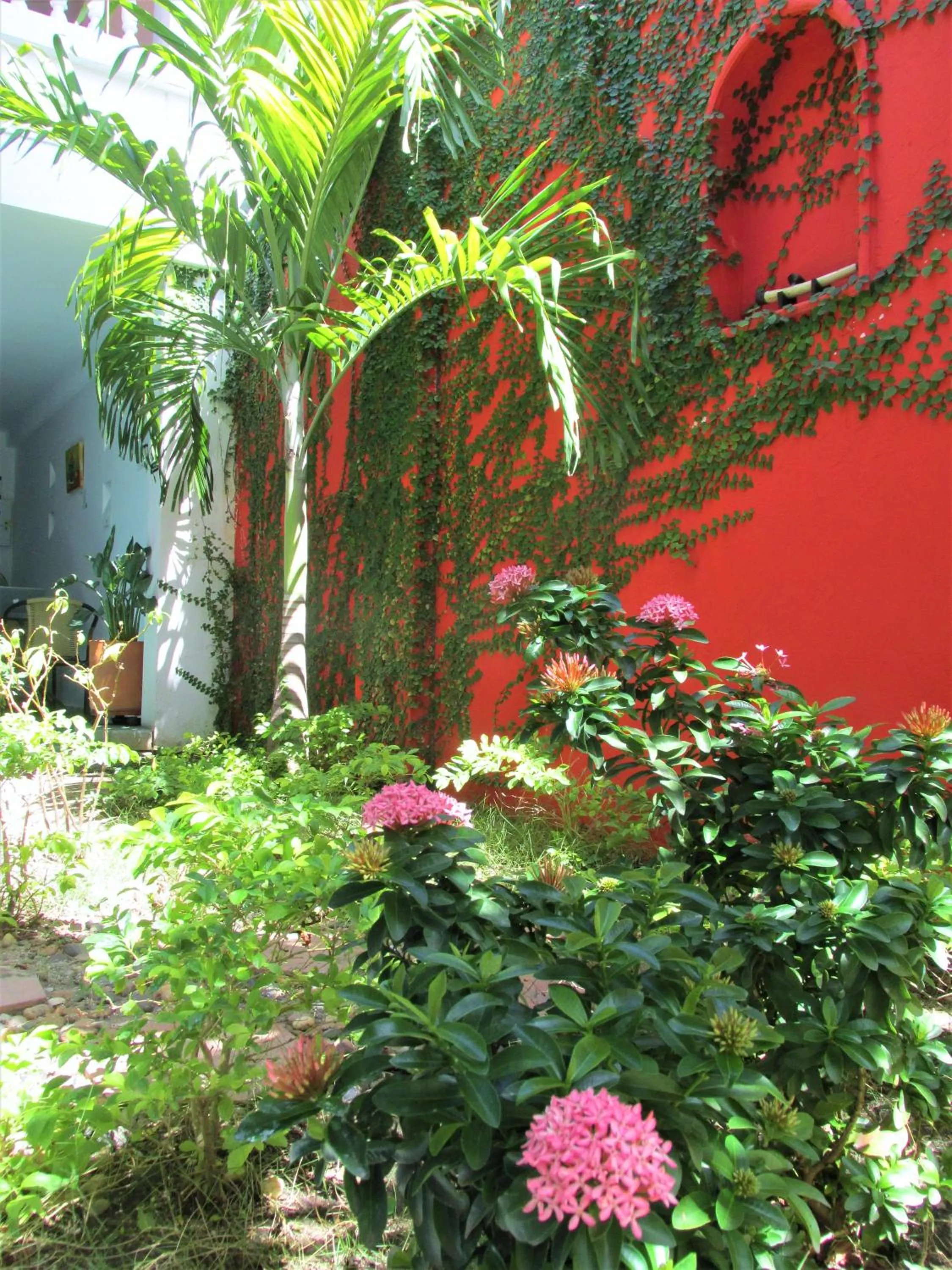 Spring in Zana Hotel Boutique