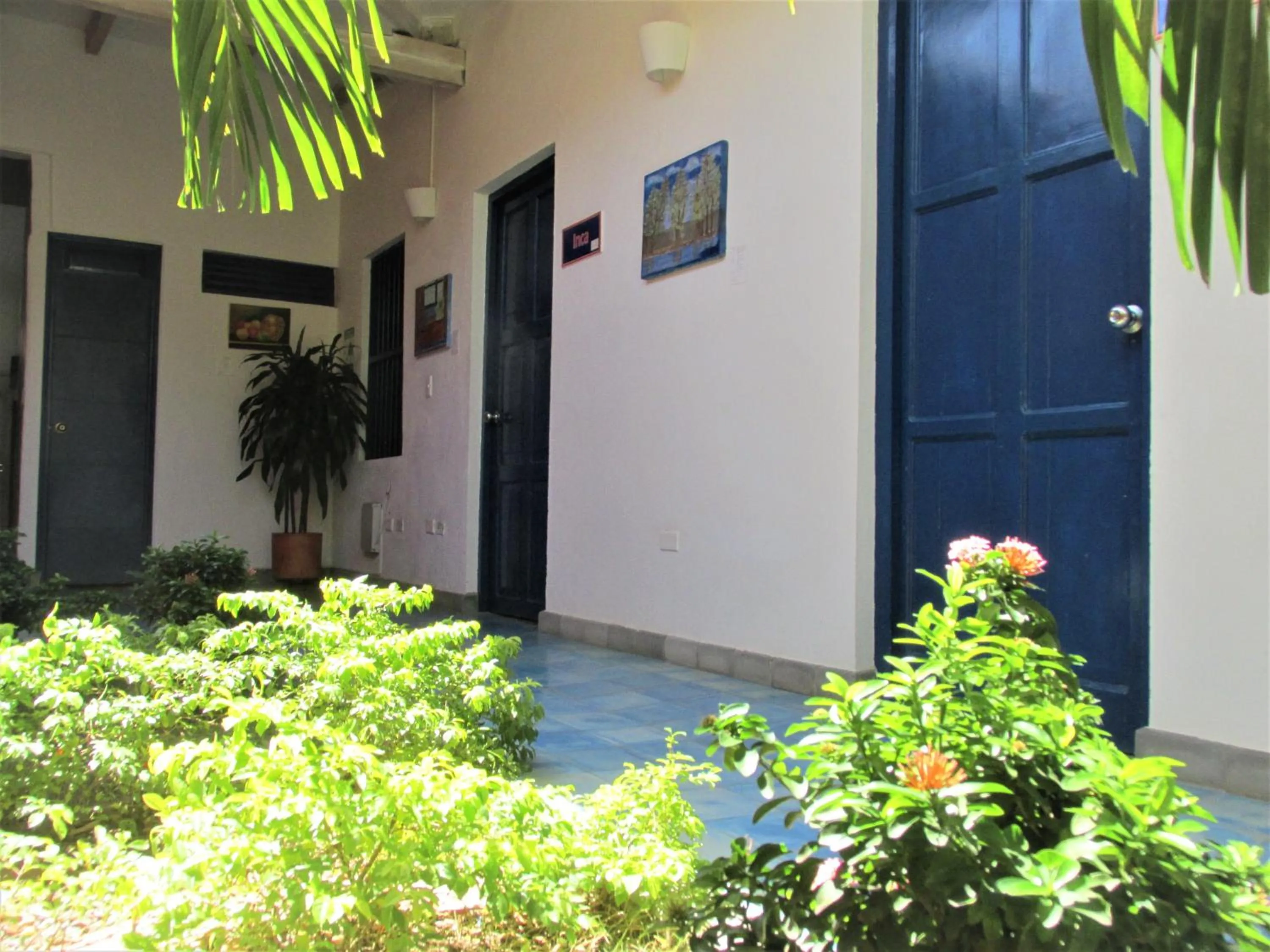 Garden in Zana Hotel Boutique