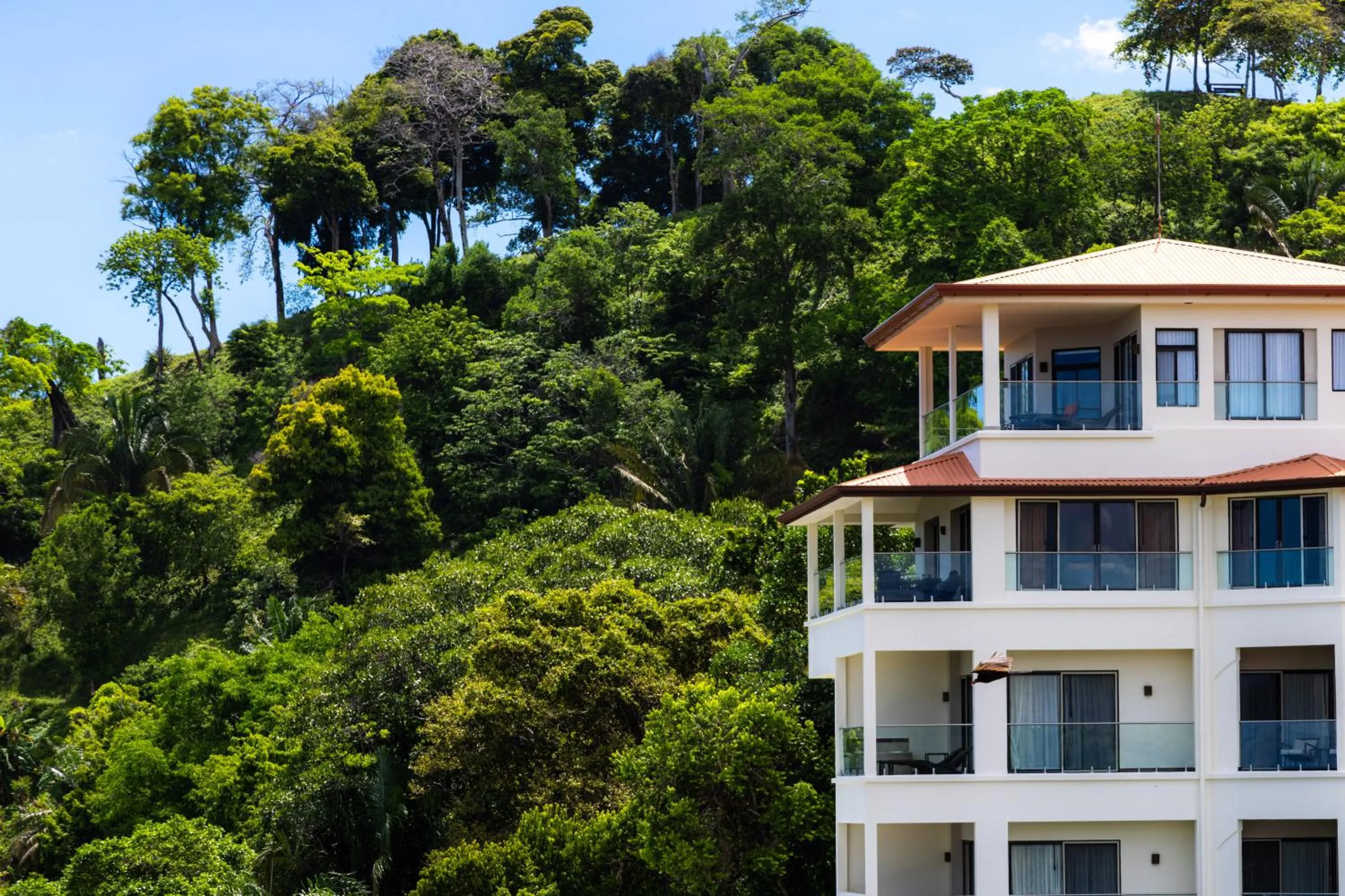 Property building in Vista Suites at Parador - Adults Only