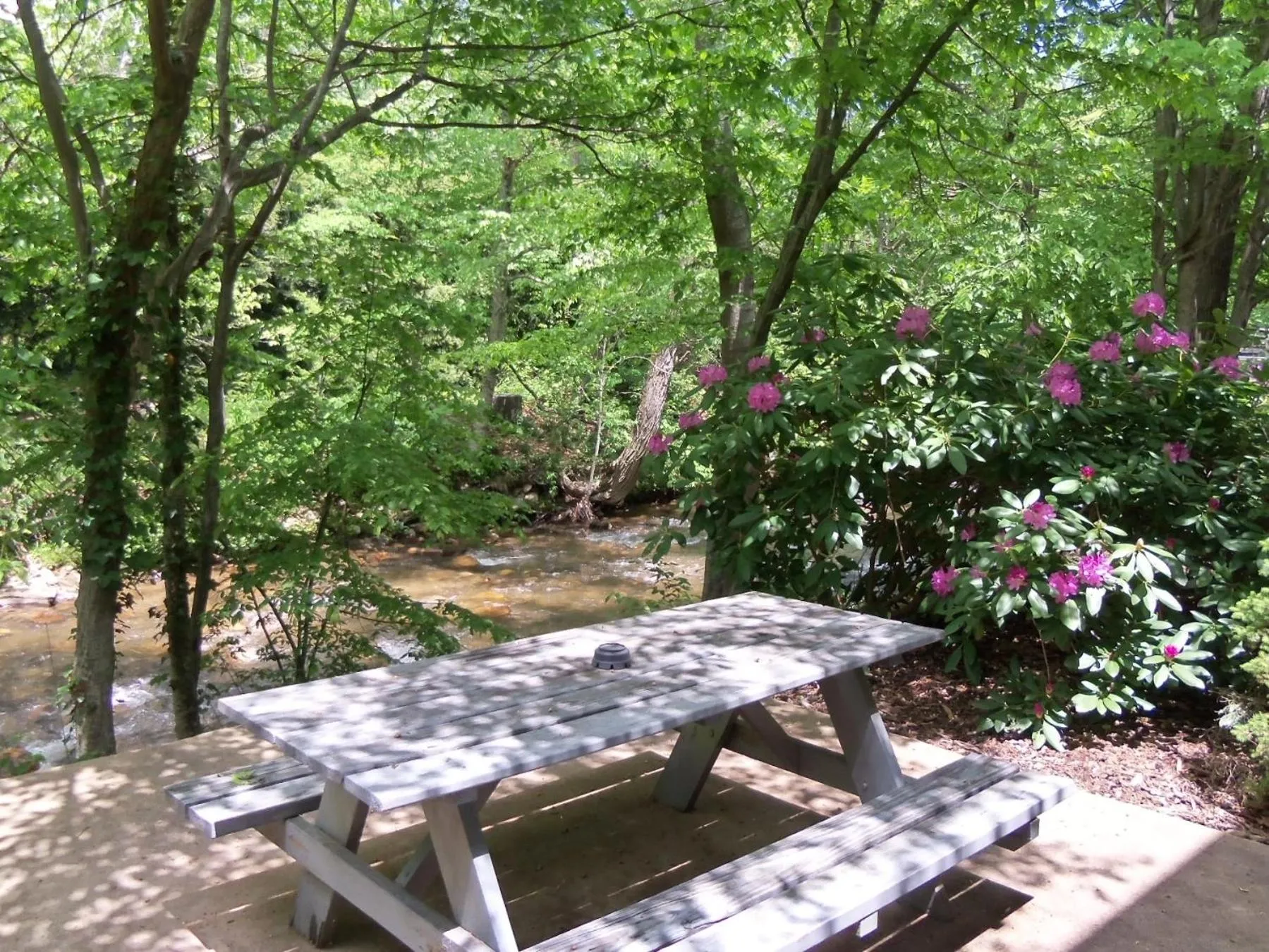 Fishing in Four Seasons Inn