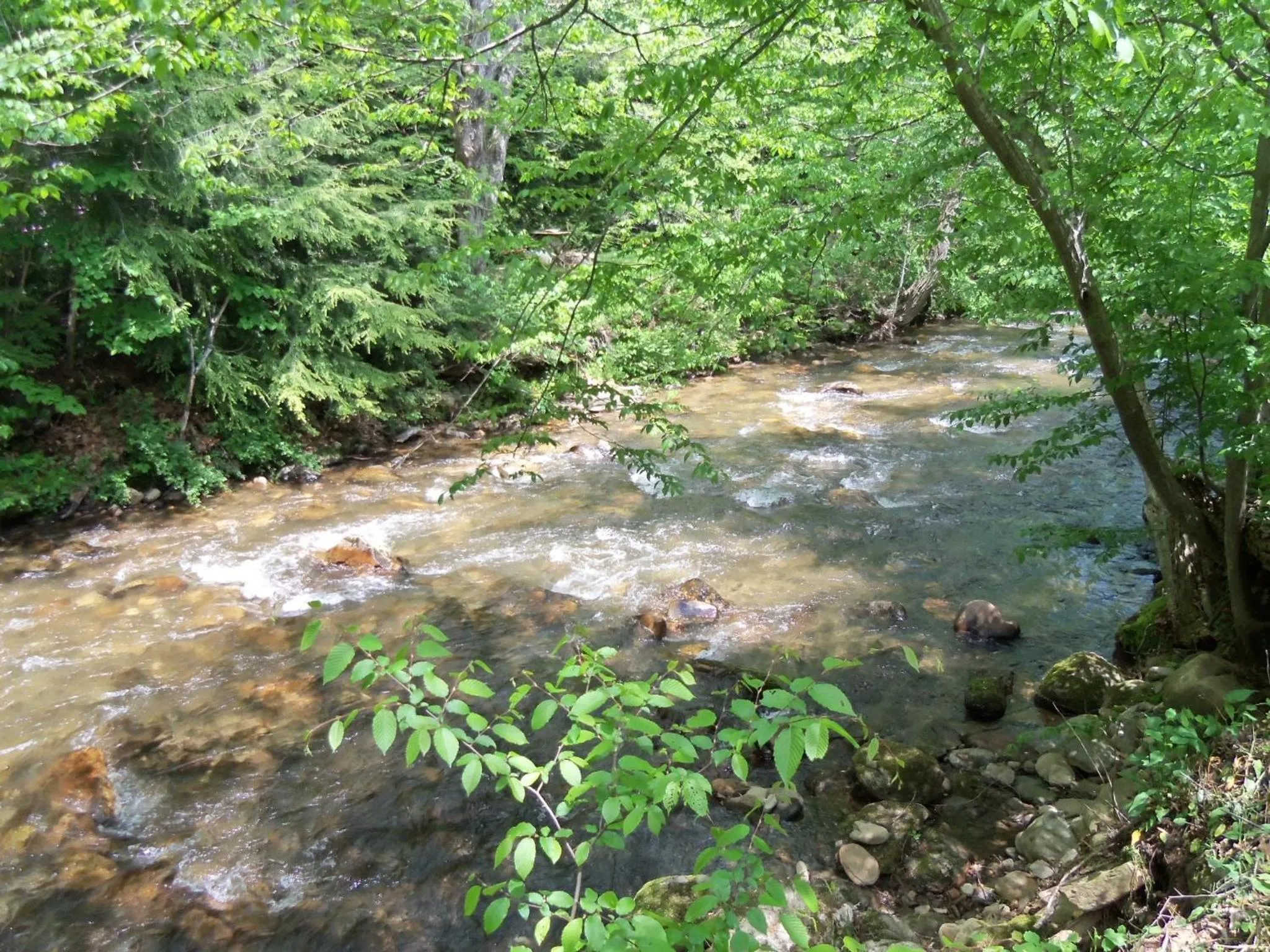 Fishing in Four Seasons Inn