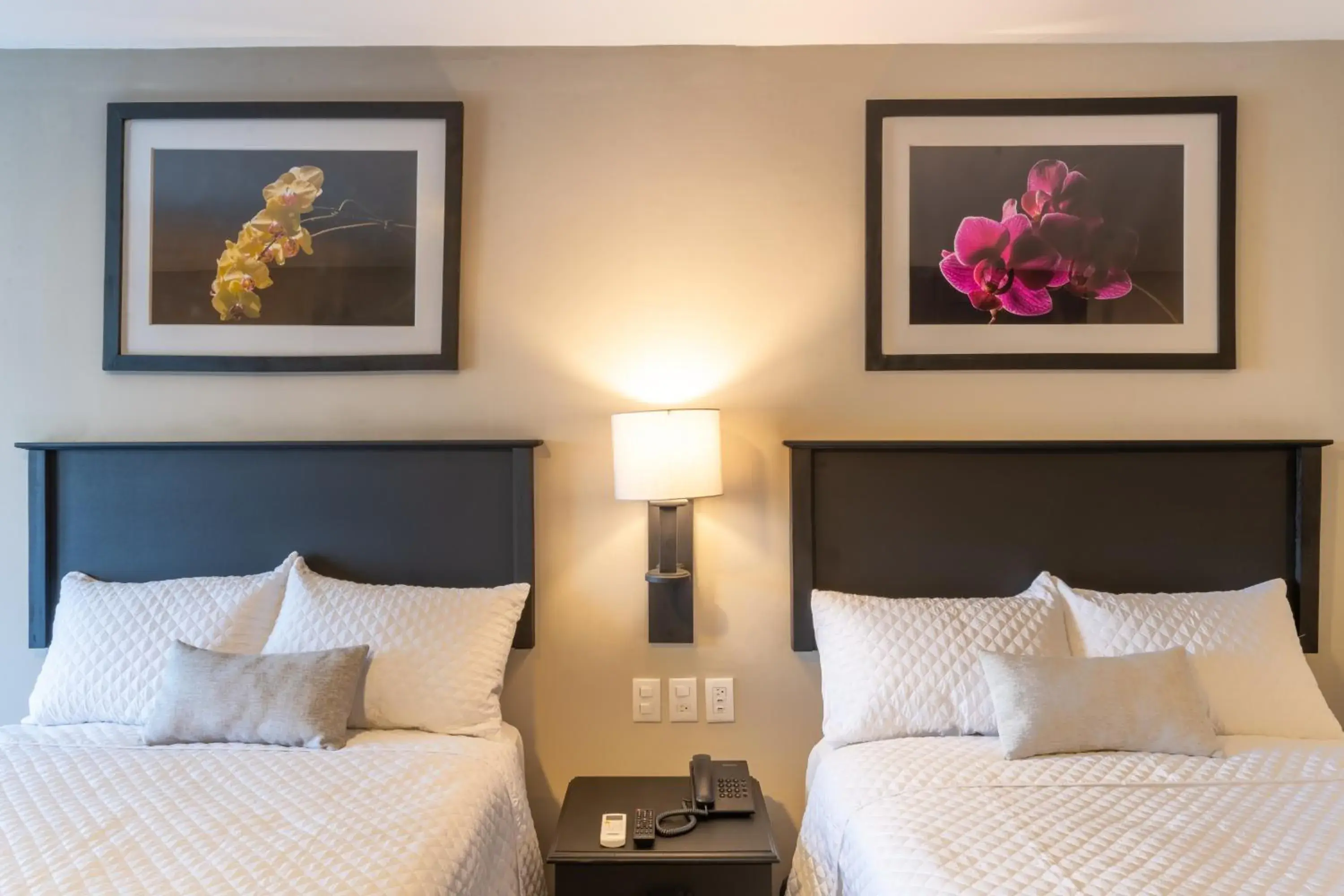 Standard Double Room in Conquistador Hotel & Conference Center Standard Double Room in Conquistador Hotel & Conference Center