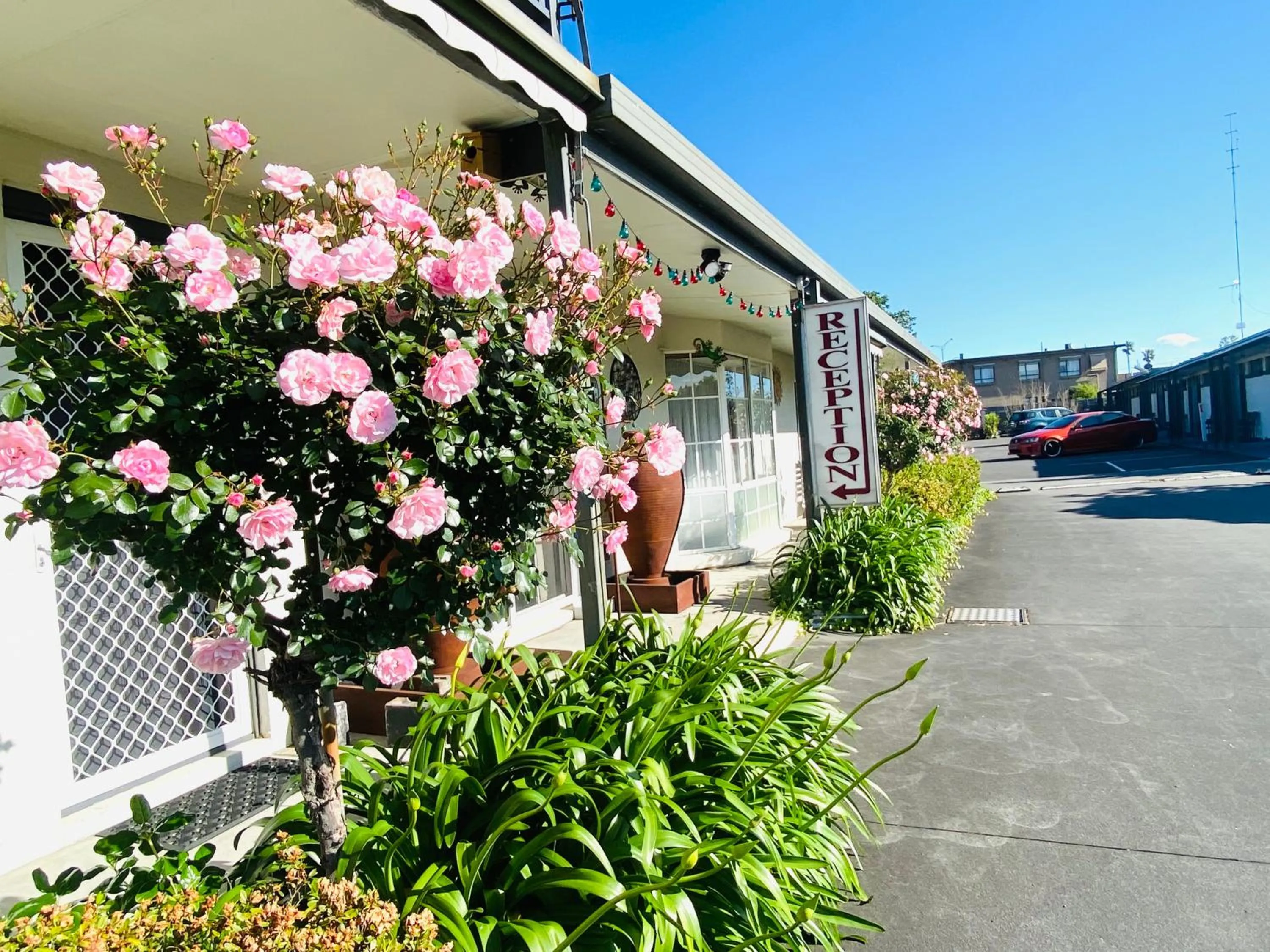 Garden view in Mid Valley Motel