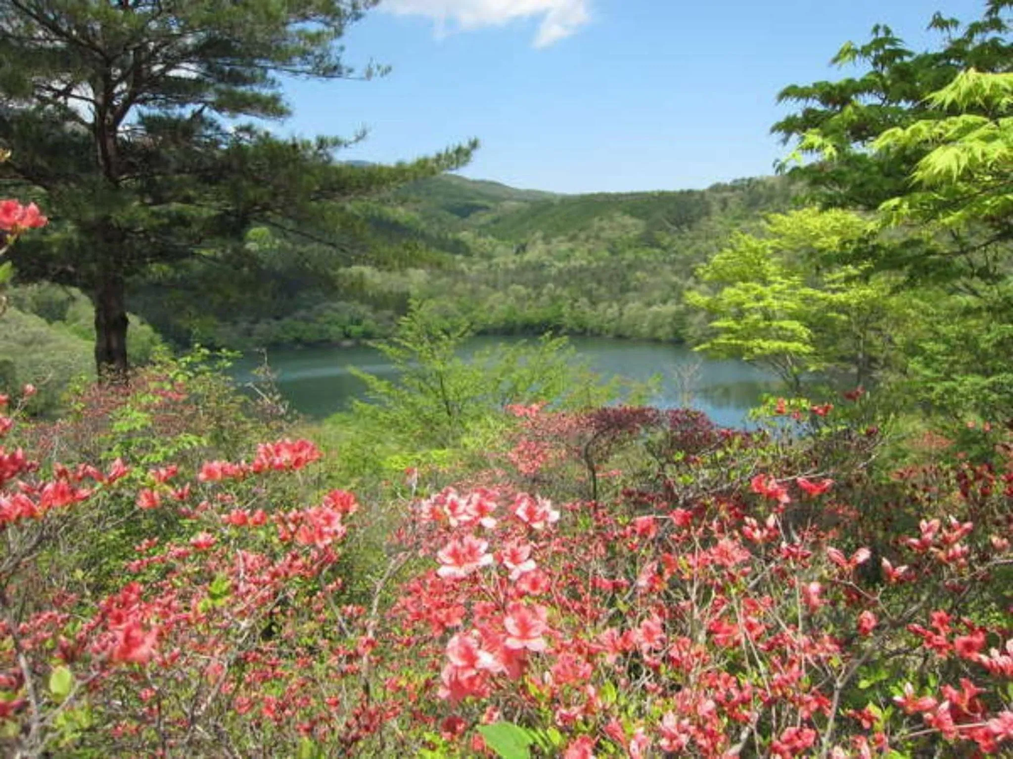 Nearby landmark in Harumiya Ryokan