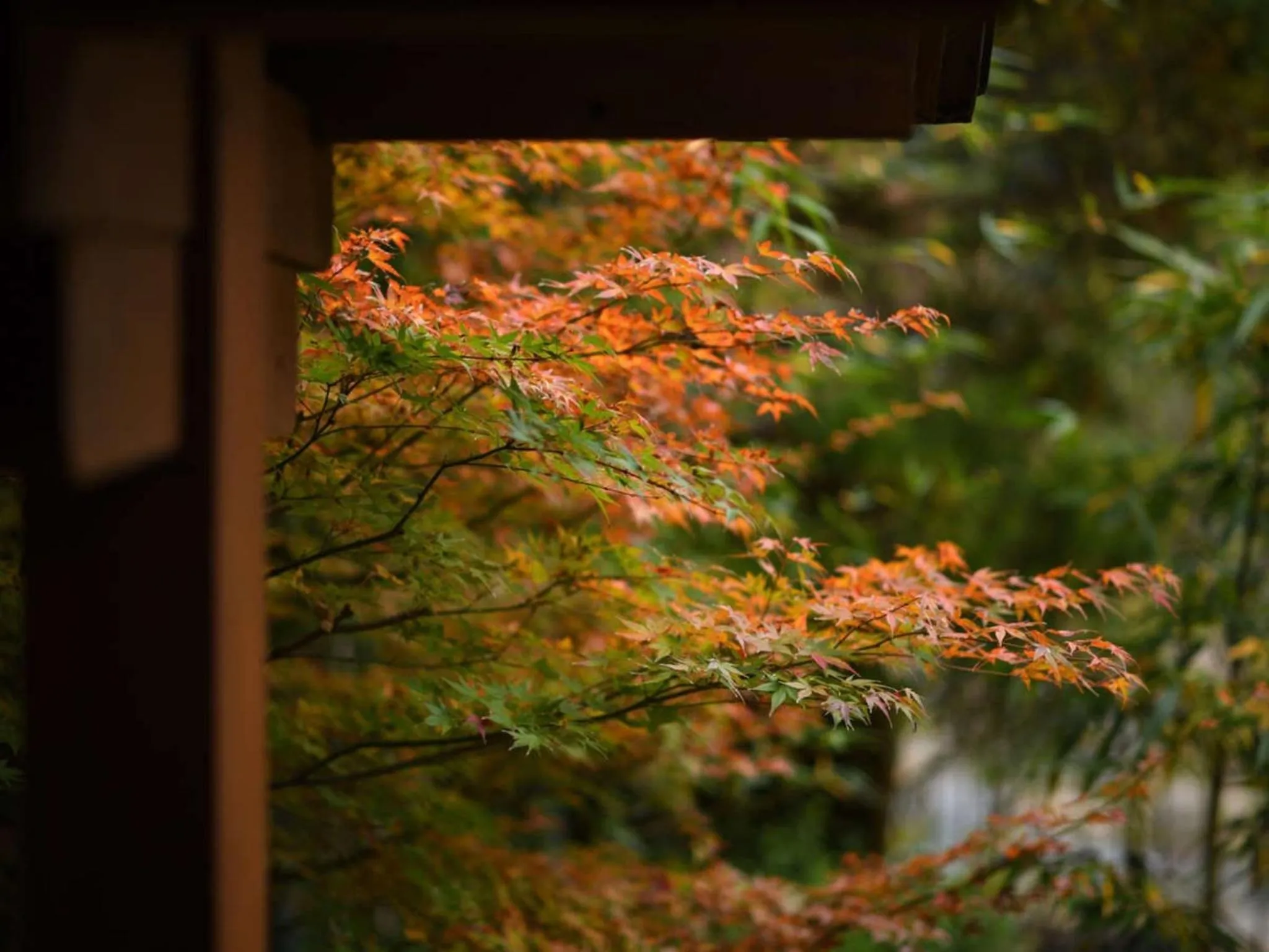 Natural landscape in Harumiya Ryokan
